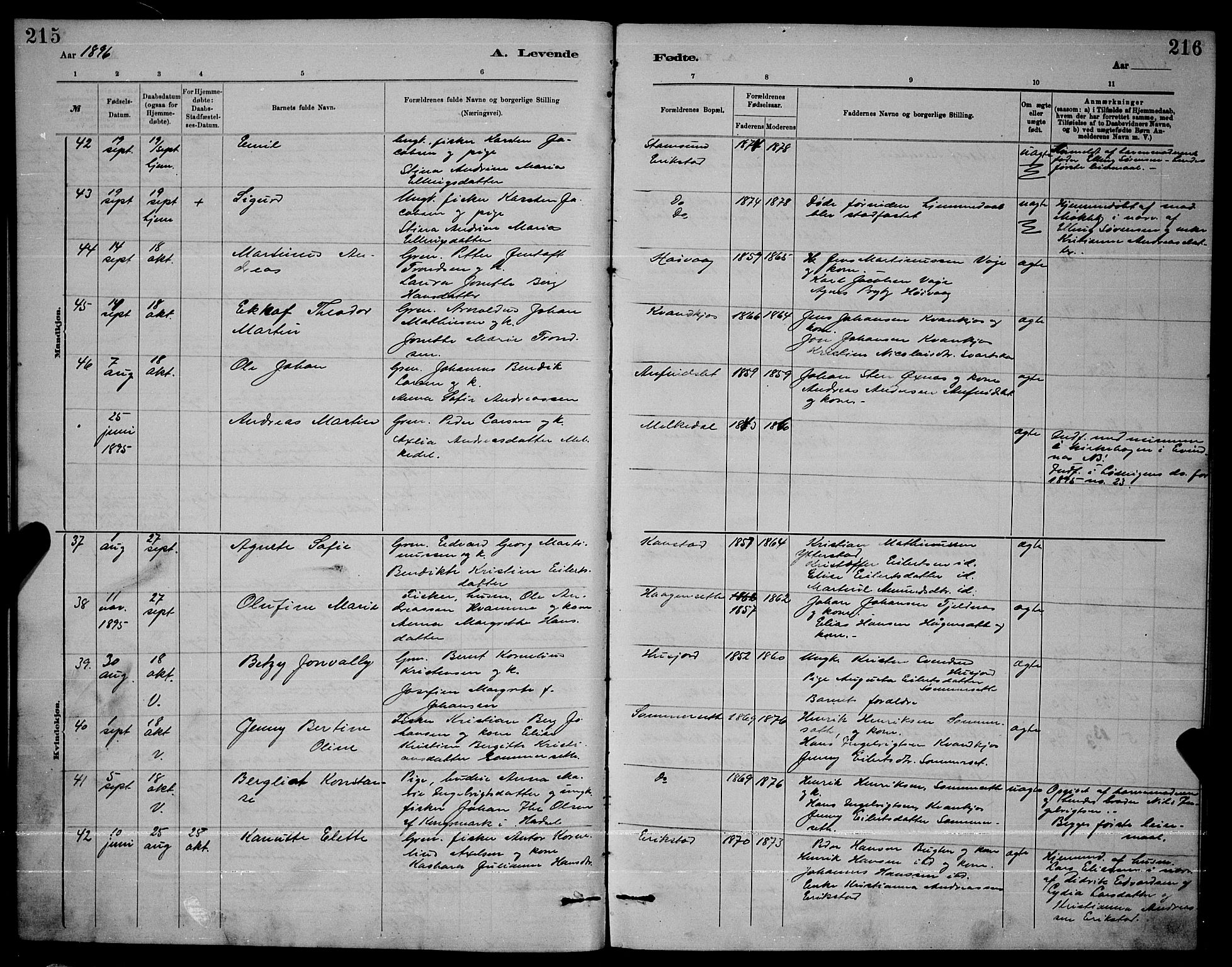 Ministerialprotokoller, klokkerbøker og fødselsregistre - Nordland, AV/SAT-A-1459/872/L1047: Parish register (copy) no. 872C03, 1880-1897, p. 215-216