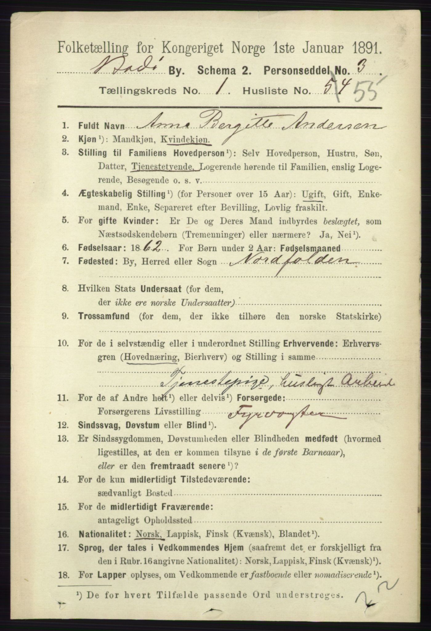 RA, 1891 census for 1804 Bodø, 1891, p. 848