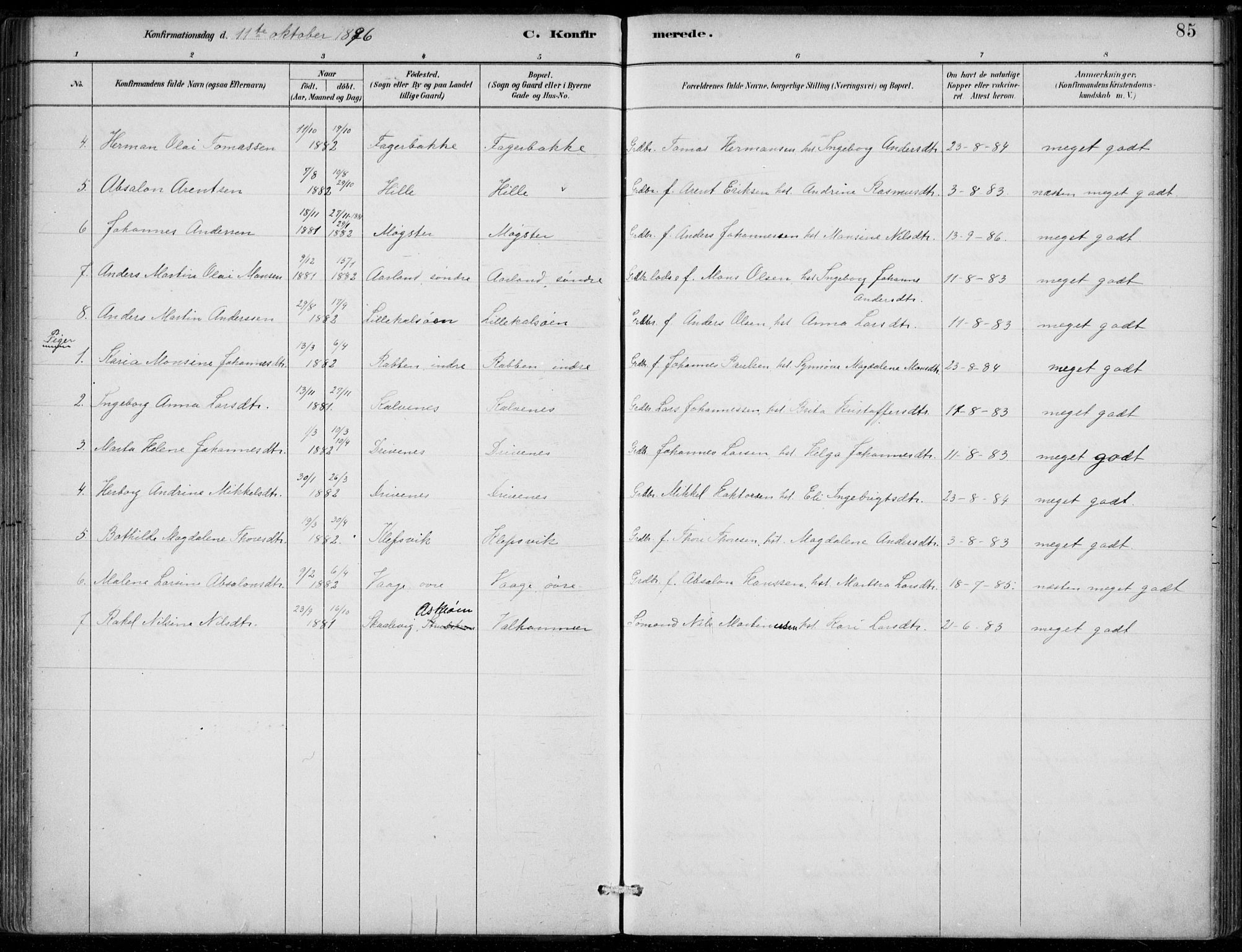 Sund sokneprestembete, AV/SAB-A-99930: Parish register (official) no. D 1, 1882-1899, p. 85