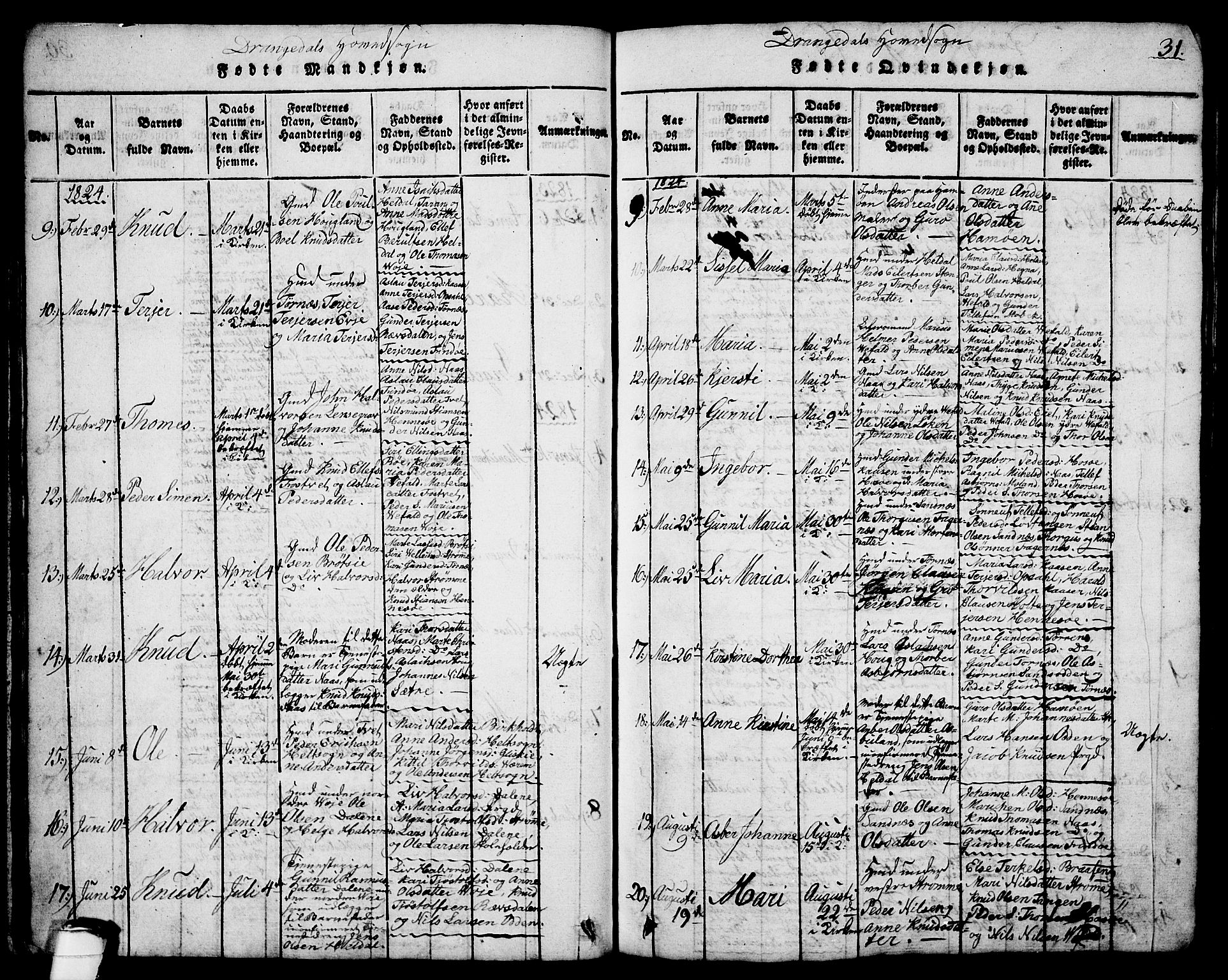 Drangedal kirkebøker, SAKO/A-258/G/Ga/L0001: Parish register (copy) no. I 1 /1, 1814-1856, p. 31