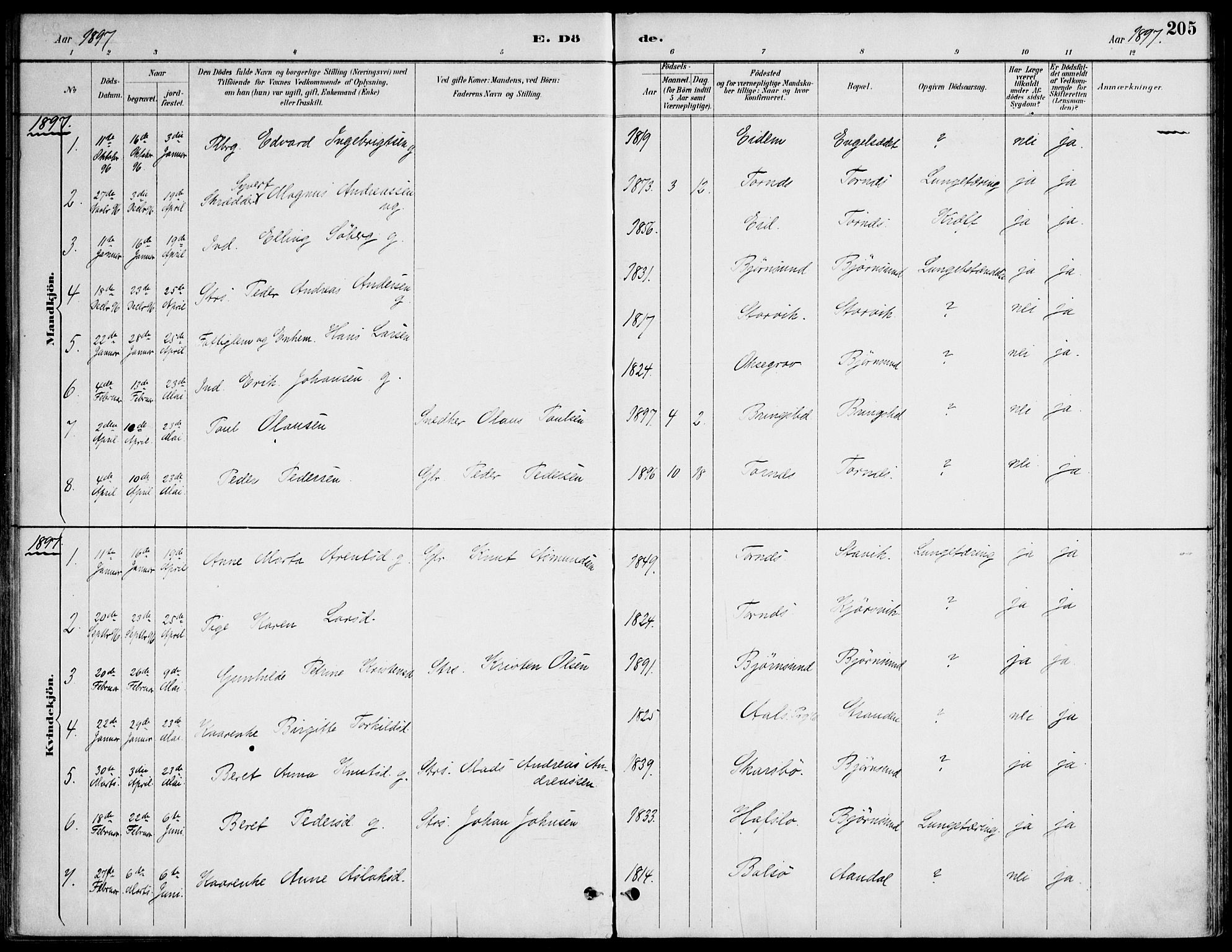 Ministerialprotokoller, klokkerbøker og fødselsregistre - Møre og Romsdal, AV/SAT-A-1454/565/L0750: Parish register (official) no. 565A04, 1887-1905, p. 205