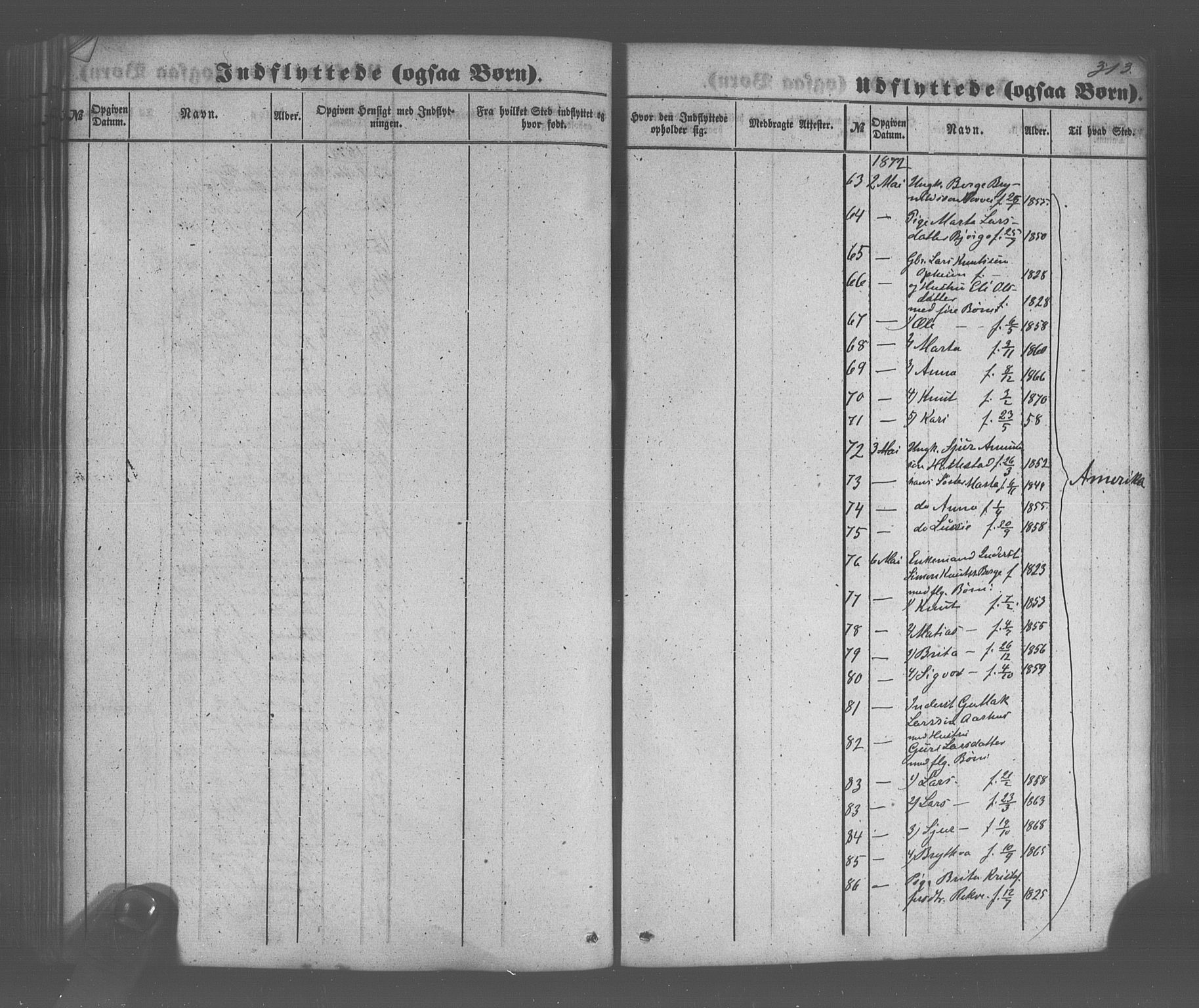 Voss sokneprestembete, AV/SAB-A-79001/H/Haa: Parish register (official) no. A 20, 1855-1886, p. 313