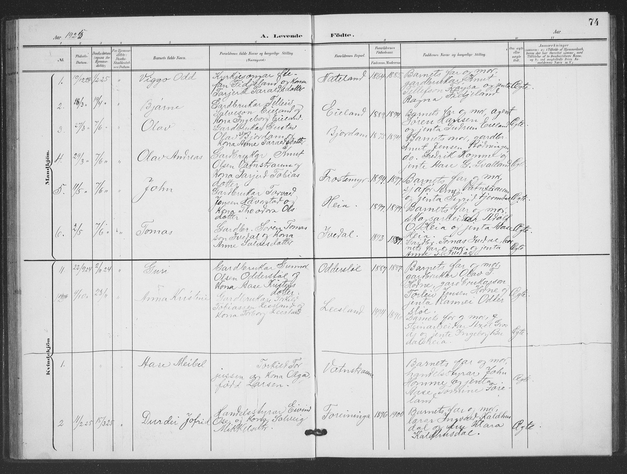 Evje sokneprestkontor, SAK/1111-0008/F/Fb/Fbc/L0005: Parish register (copy) no. B 5, 1901-1935, p. 74