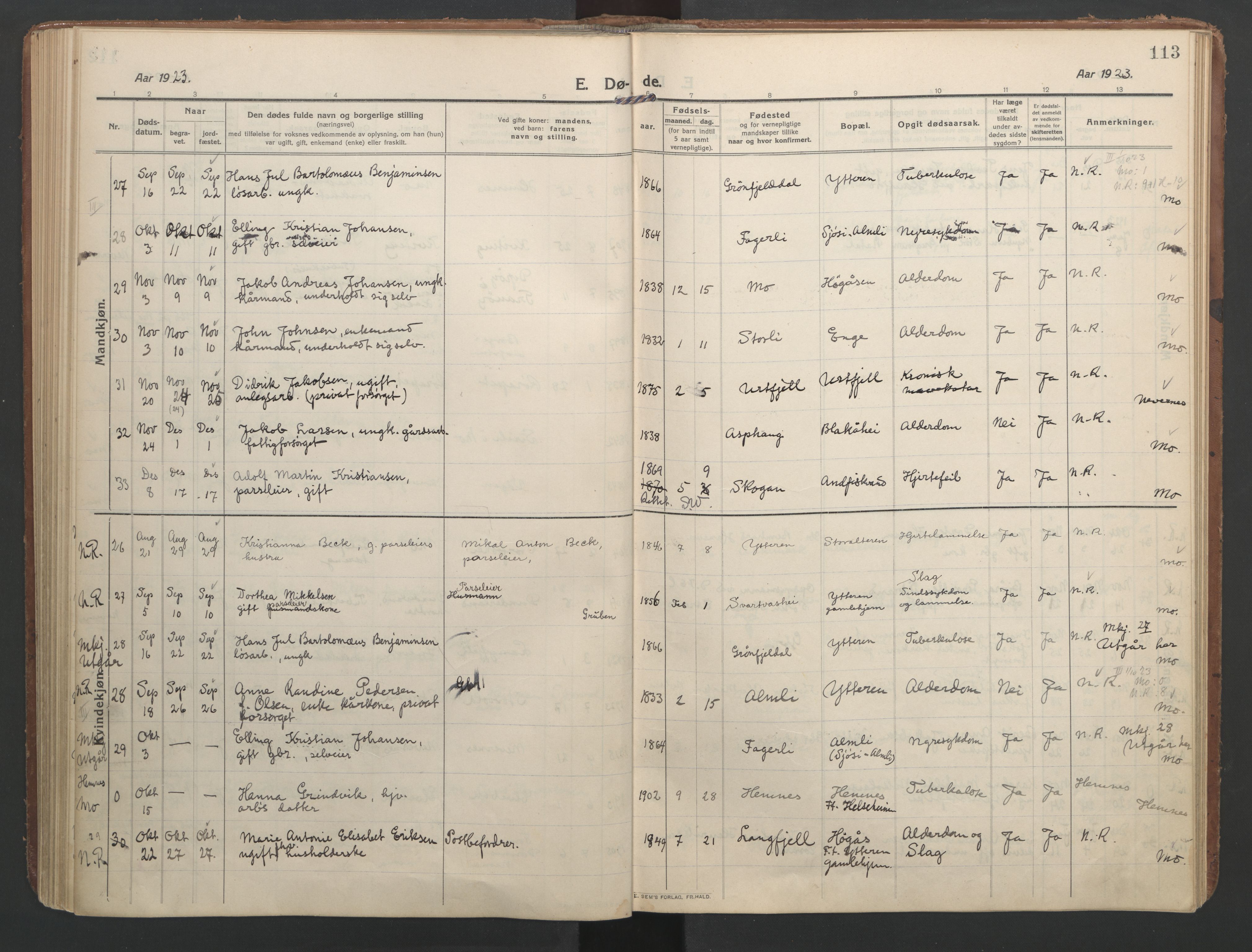 Ministerialprotokoller, klokkerbøker og fødselsregistre - Nordland, SAT/A-1459/827/L0405: Parish register (official) no. 827A17, 1912-1925, p. 113