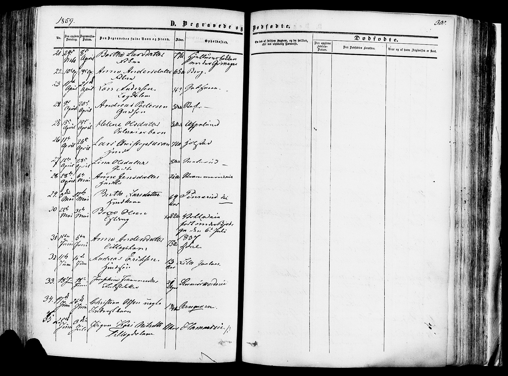 Vang prestekontor, Hedmark, AV/SAH-PREST-008/H/Ha/Haa/L0013: Parish register (official) no. 13, 1855-1879, p. 300