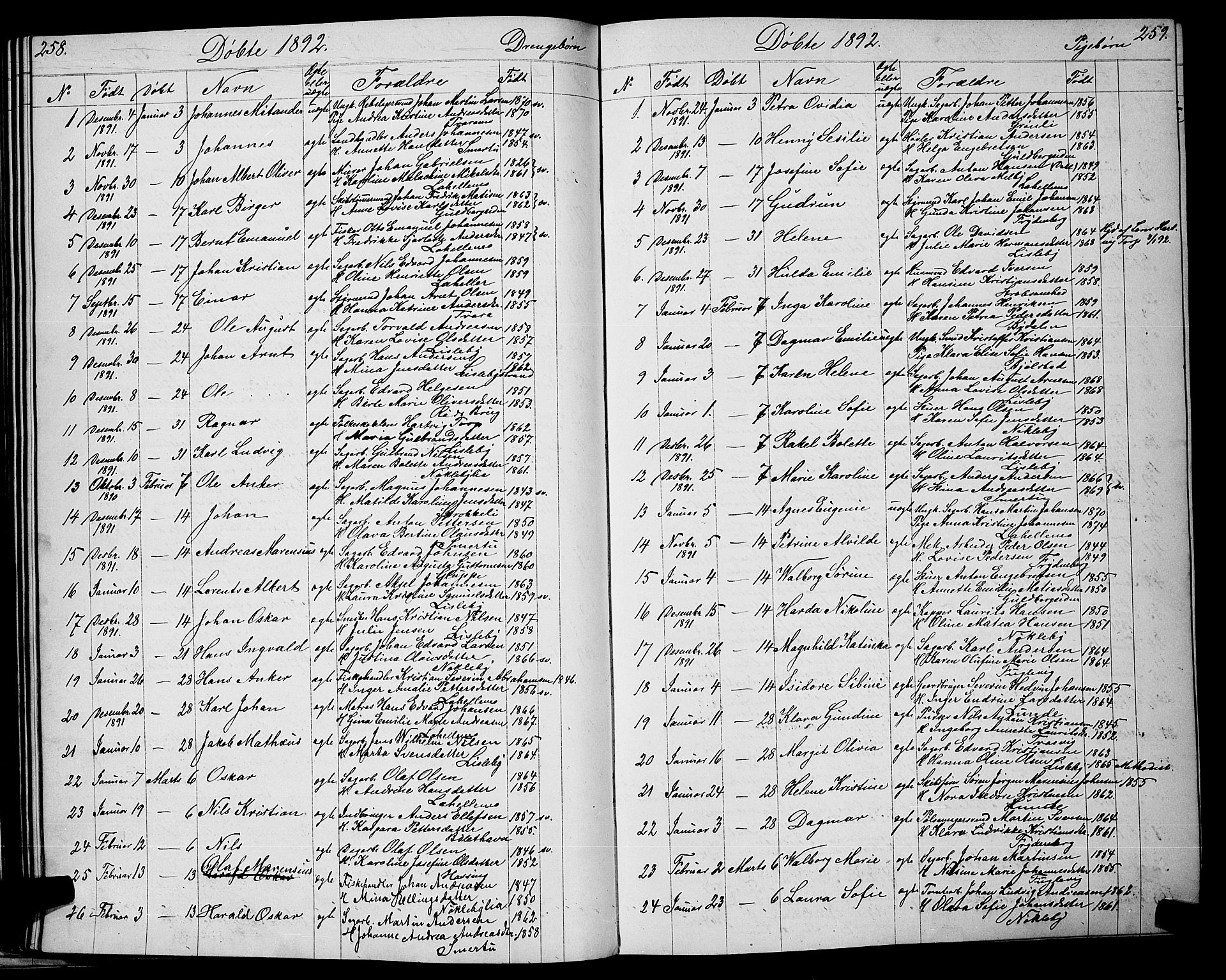 Glemmen prestekontor Kirkebøker, AV/SAO-A-10908/G/Ga/L0005: Parish register (copy) no. 5, 1876-1893, p. 258-259