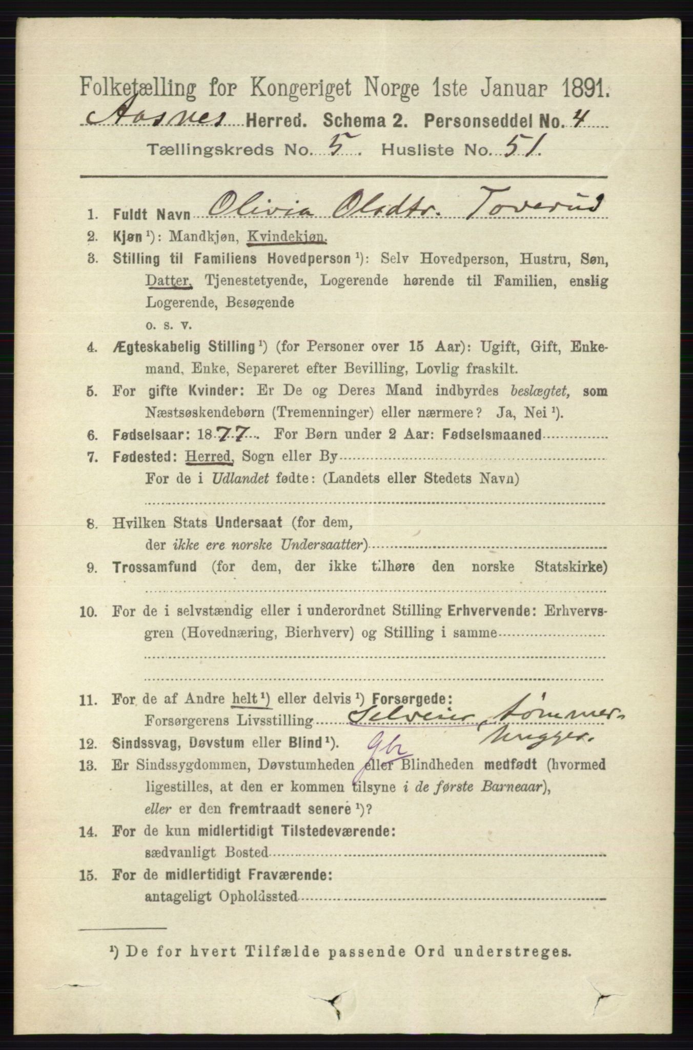 RA, 1891 census for 0425 Åsnes, 1891, p. 2705