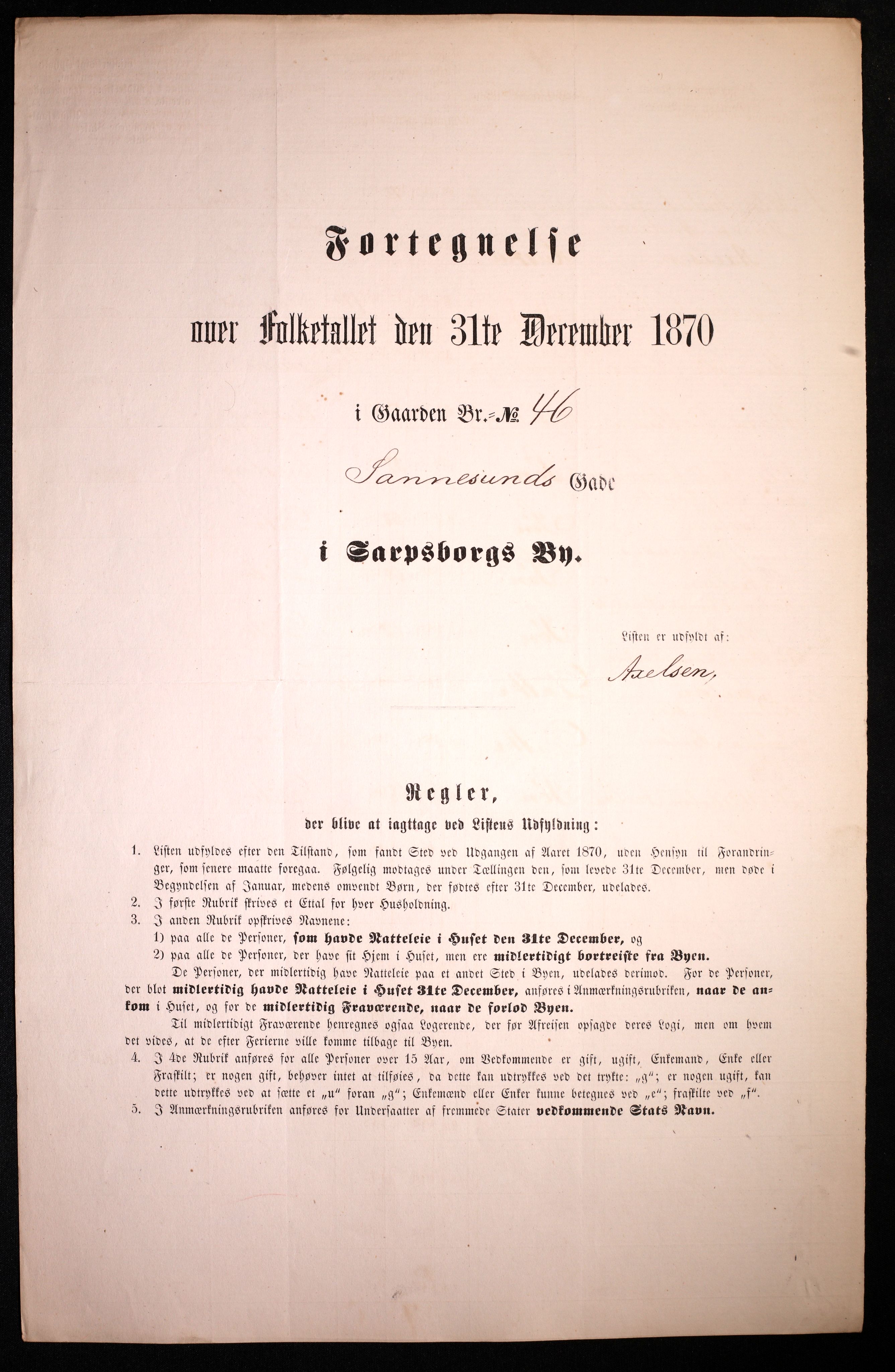 RA, 1870 census for 0102 Sarpsborg, 1870, p. 307