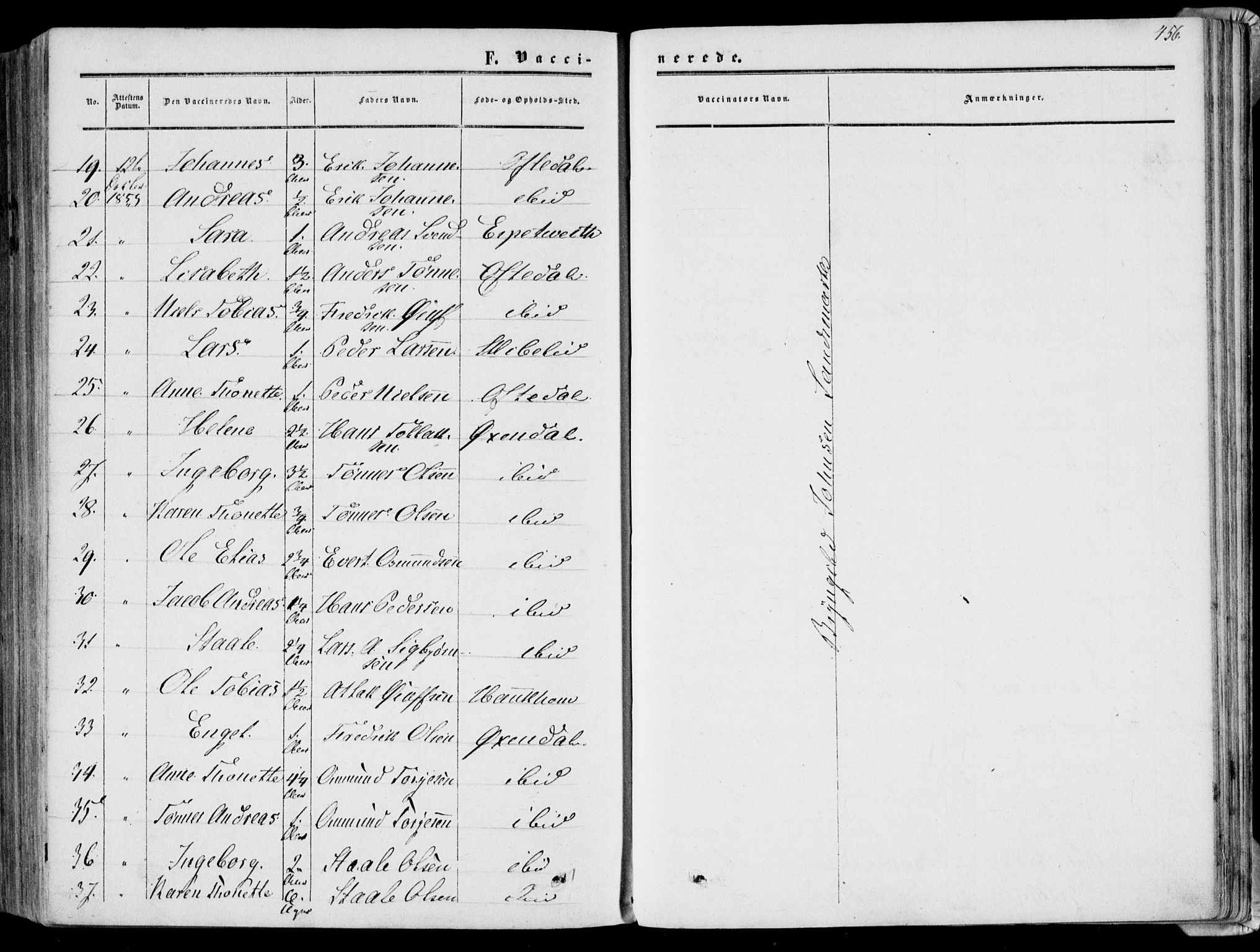 Bakke sokneprestkontor, SAK/1111-0002/F/Fa/Faa/L0006: Parish register (official) no. A 6, 1855-1877, p. 456