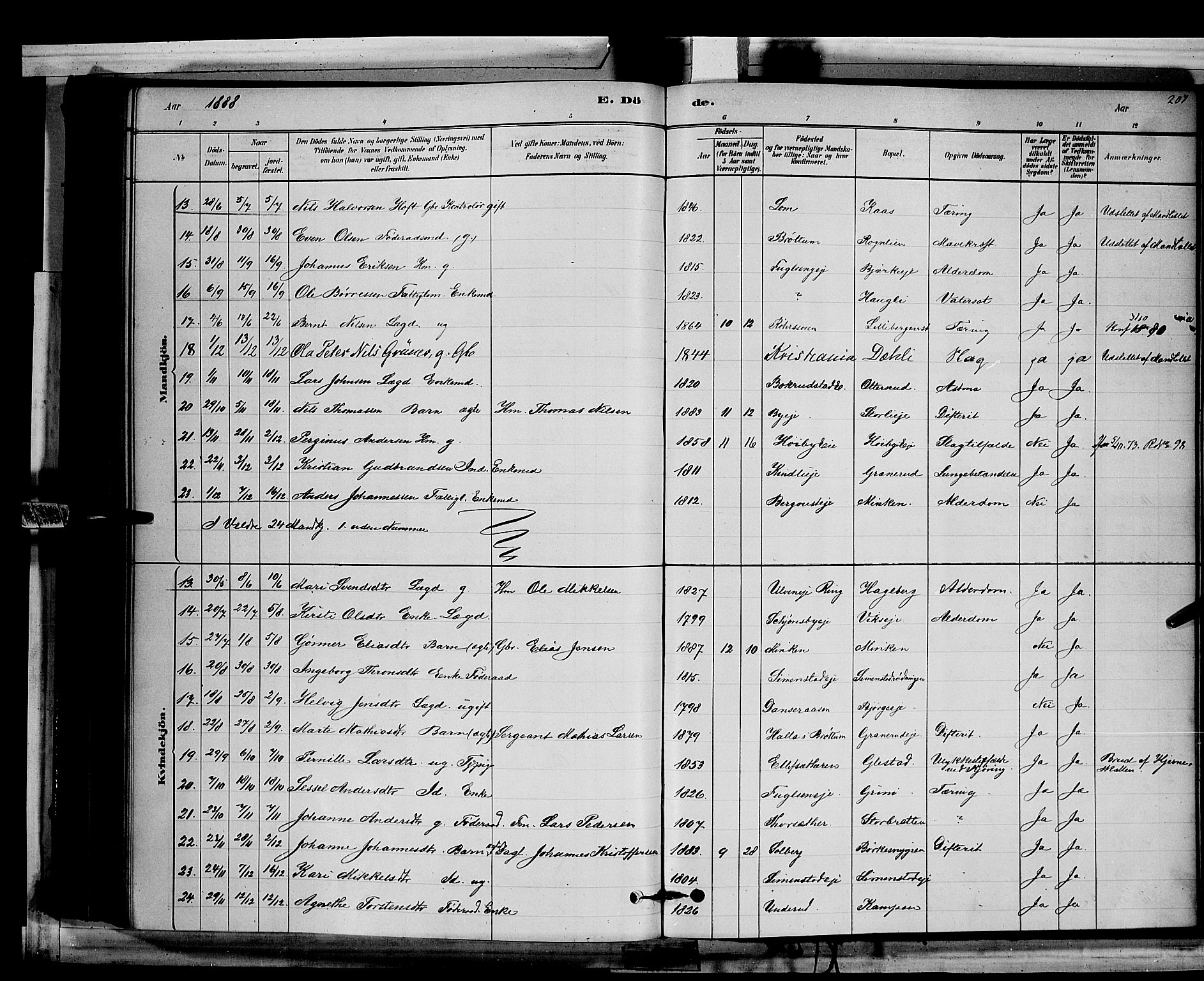 Ringsaker prestekontor, AV/SAH-PREST-014/L/La/L0011: Parish register (copy) no. 11, 1879-1890, p. 207