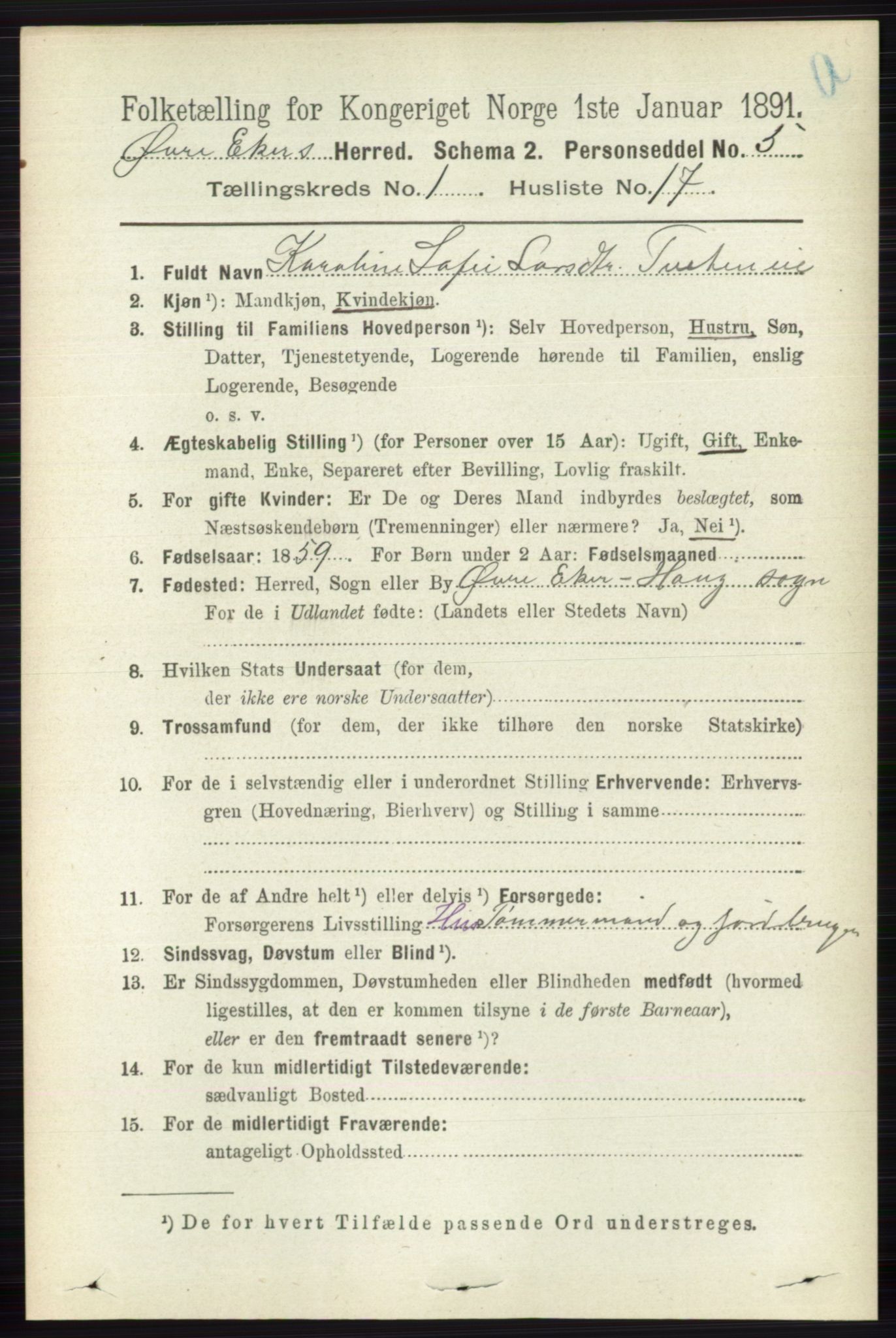 RA, 1891 census for 0624 Øvre Eiker, 1891, p. 233