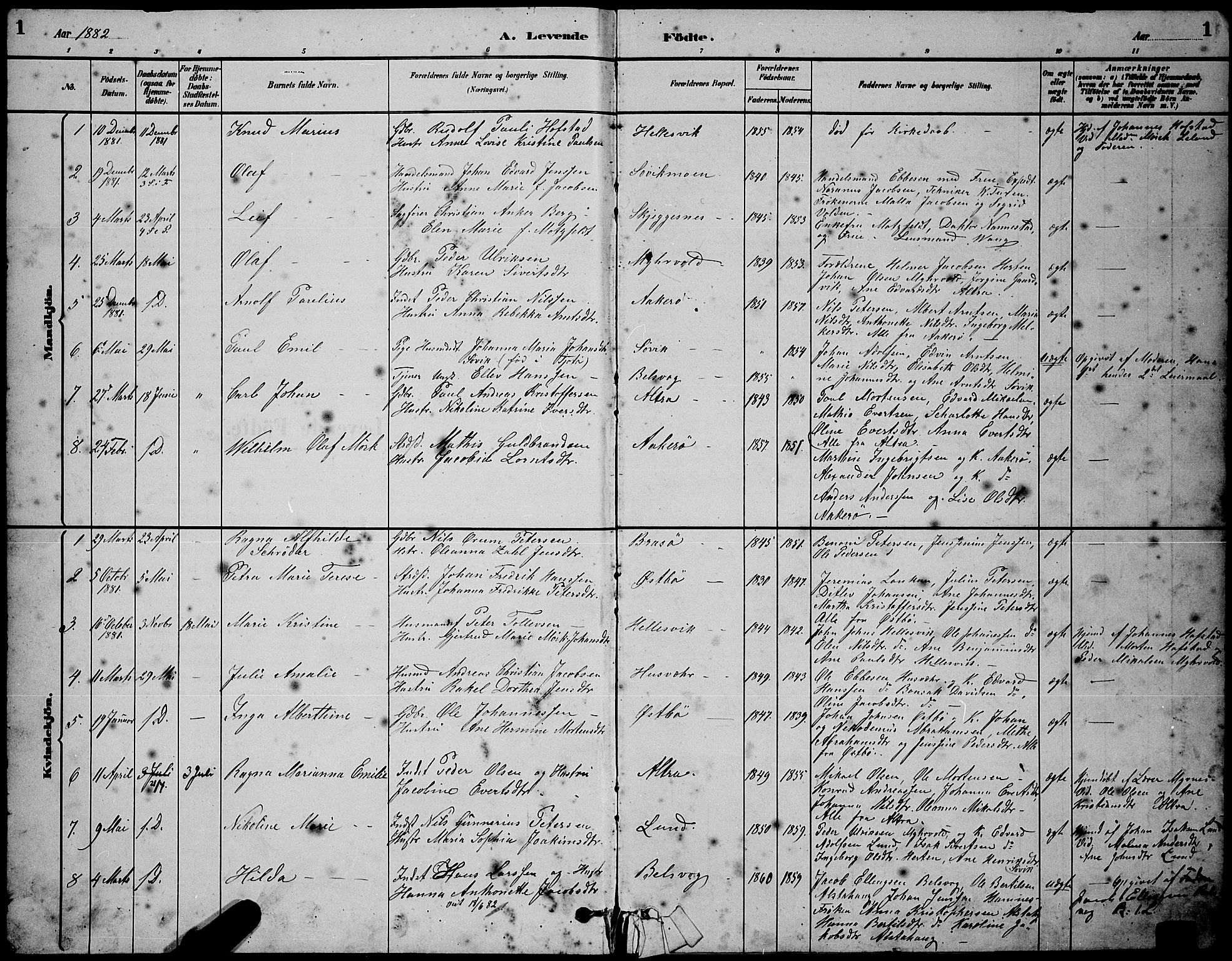 Ministerialprotokoller, klokkerbøker og fødselsregistre - Nordland, AV/SAT-A-1459/830/L0462: Parish register (copy) no. 830C04, 1882-1895, p. 1