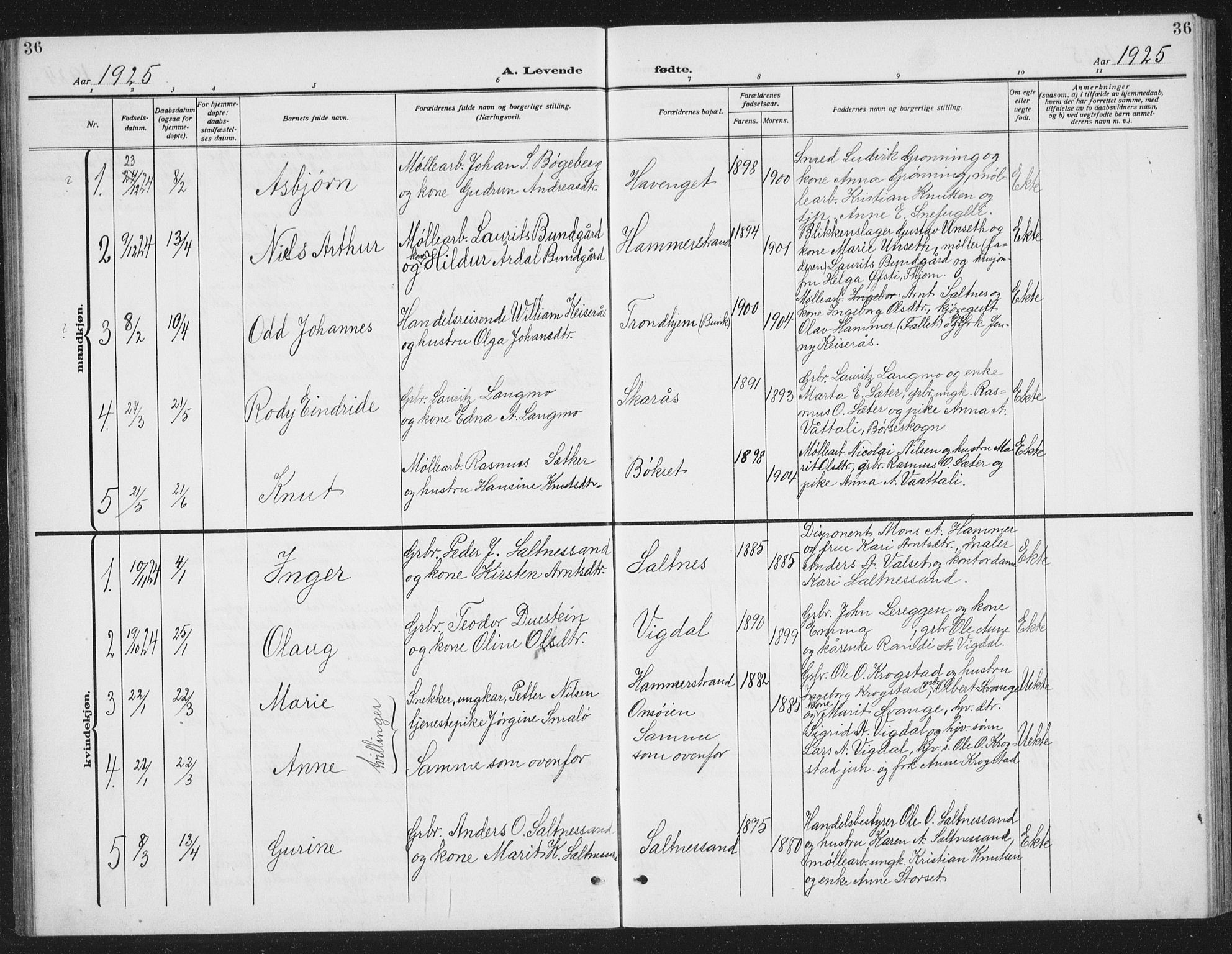 Ministerialprotokoller, klokkerbøker og fødselsregistre - Sør-Trøndelag, SAT/A-1456/666/L0791: Parish register (copy) no. 666C04, 1909-1939, p. 36