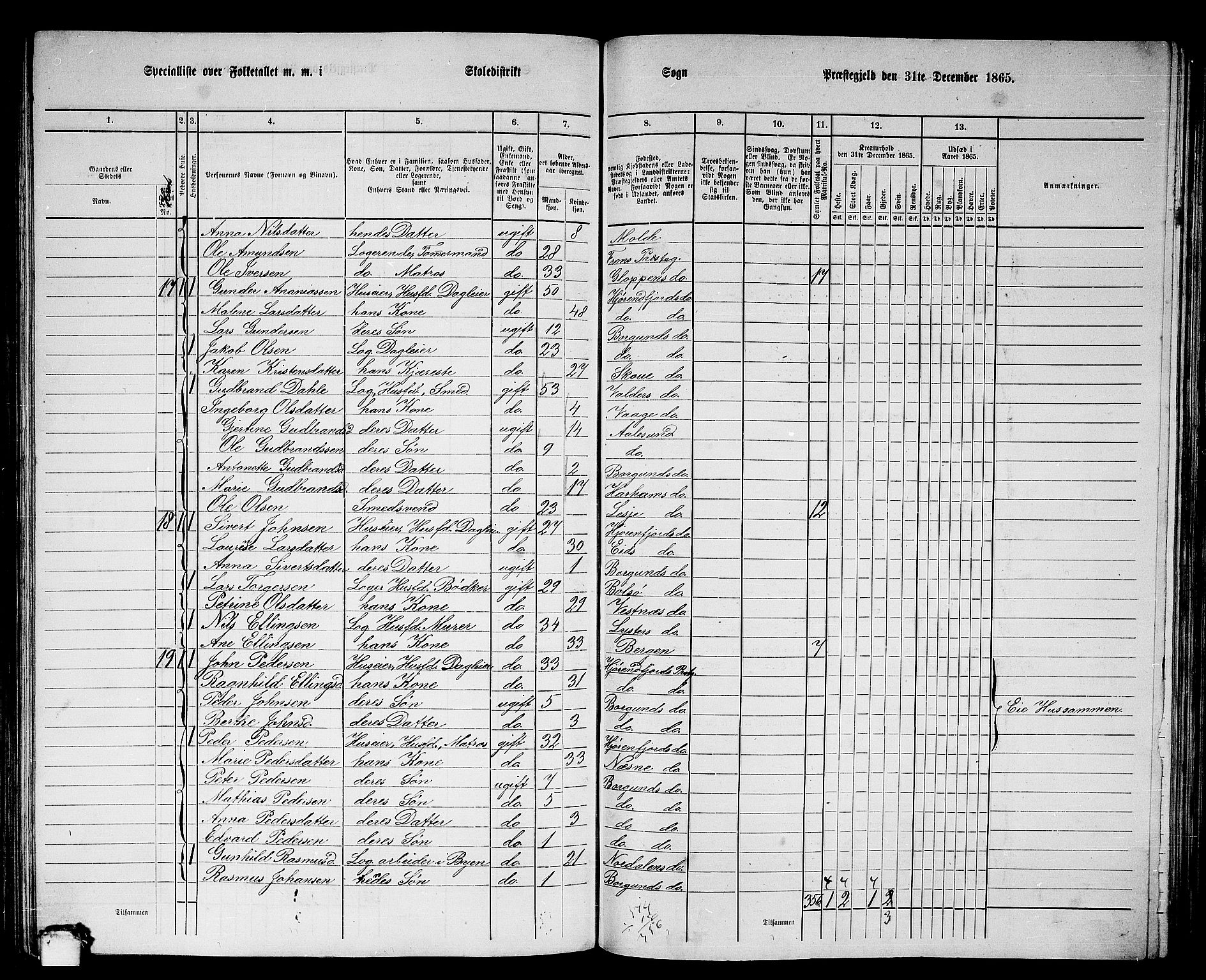 RA, 1865 census for Borgund, 1865, p. 173