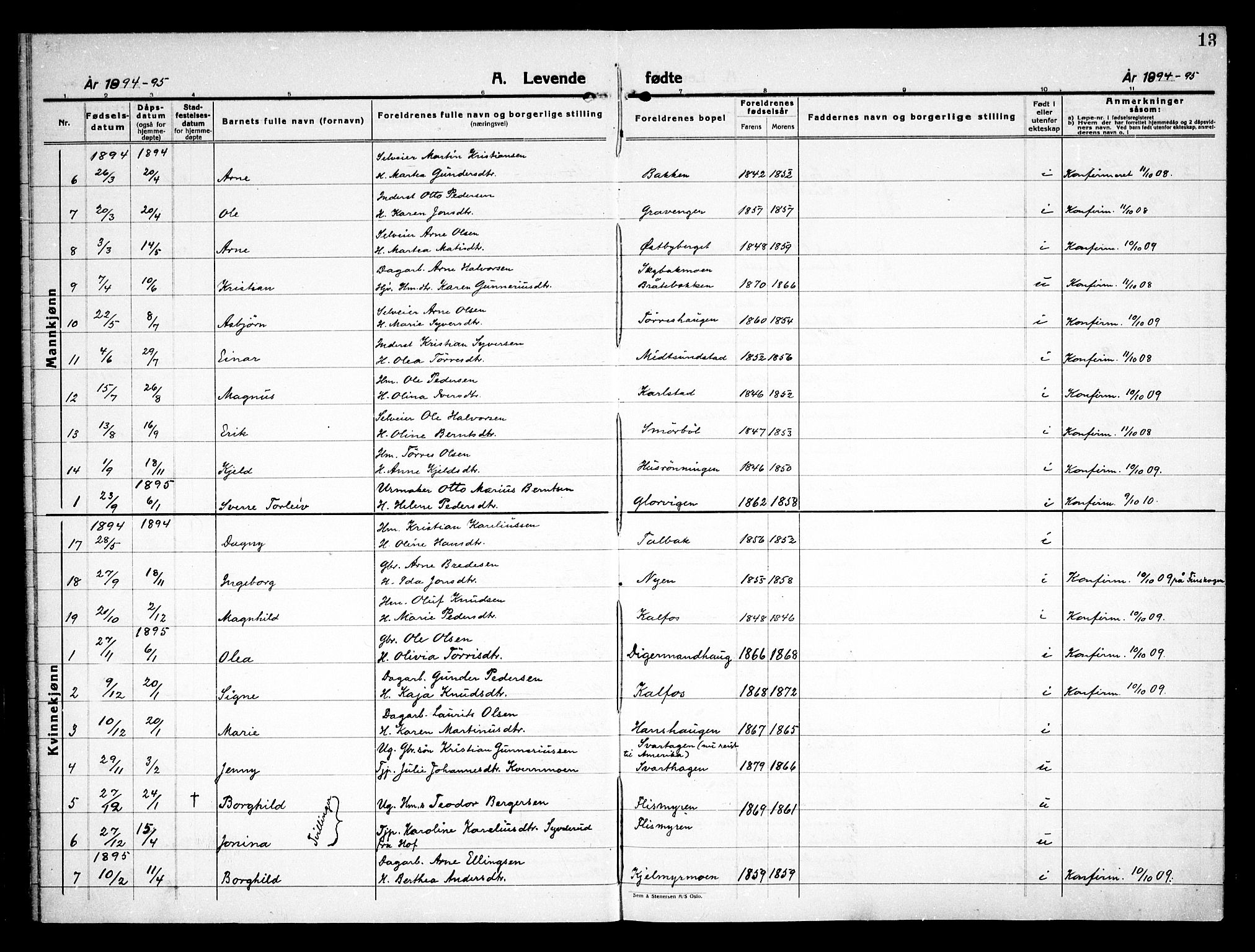 Åsnes prestekontor, SAH/PREST-042/H/Ha/Haa/L0000D: Parish register (official) no. 0B, 1890-1929, p. 13