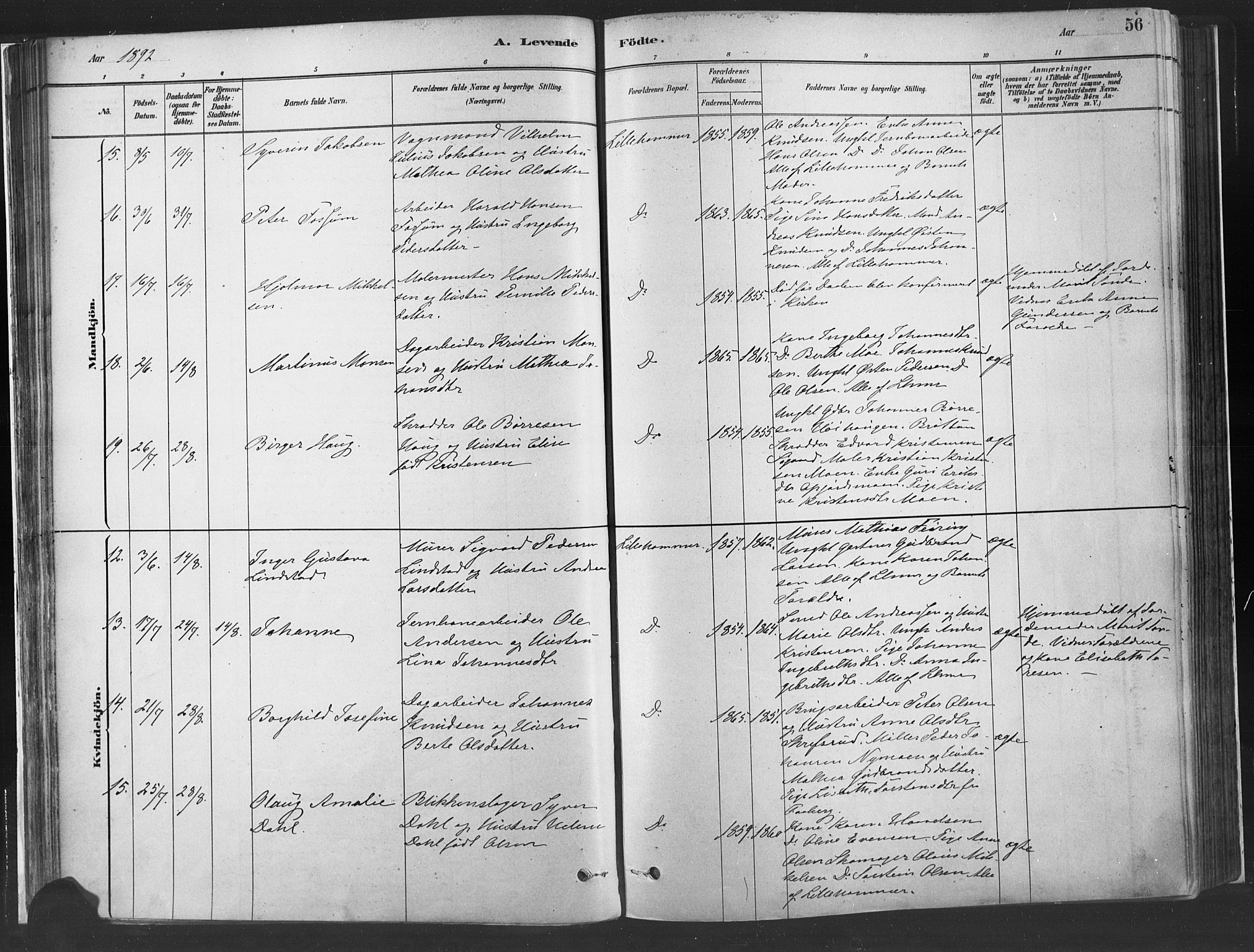 Fåberg prestekontor, SAH/PREST-086/H/Ha/Haa/L0010: Parish register (official) no. 10, 1879-1900, p. 56