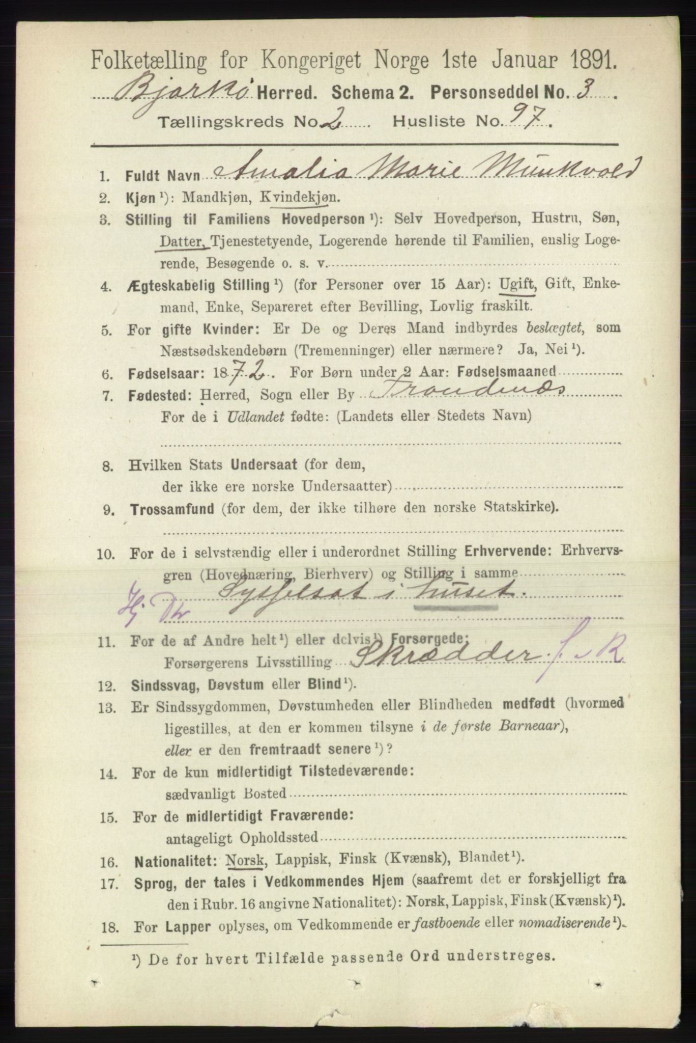 RA, 1891 census for 1915 Bjarkøy, 1891, p. 1319