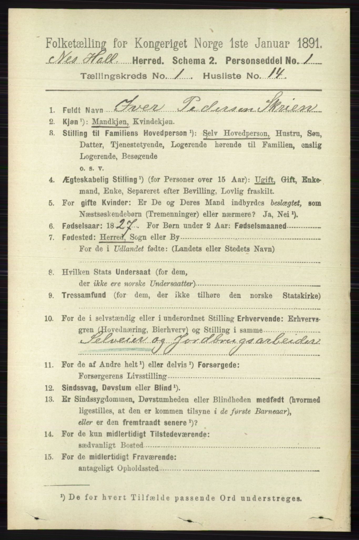 RA, 1891 census for 0616 Nes, 1891, p. 242