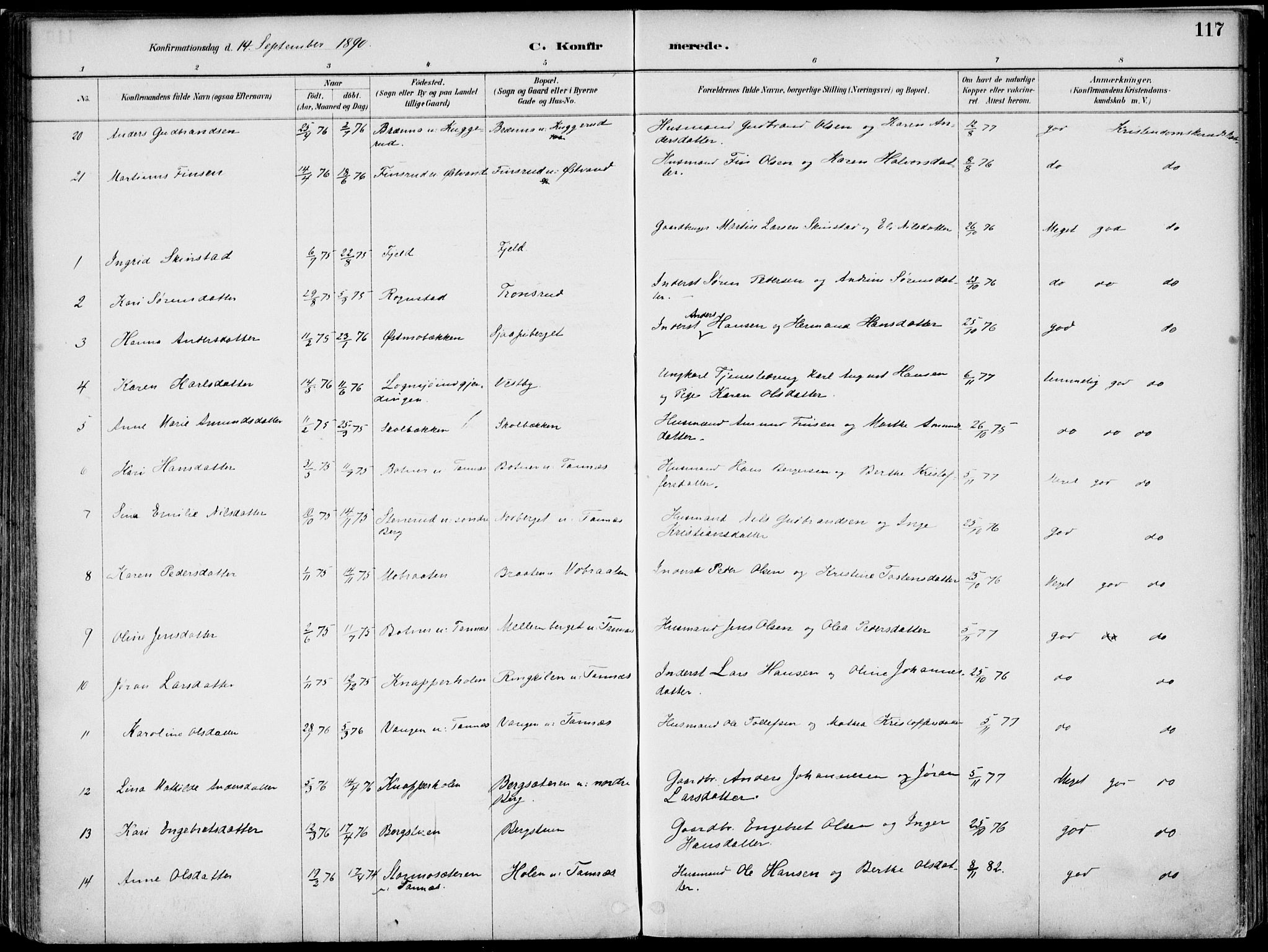 Nord-Odal prestekontor, AV/SAH-PREST-032/H/Ha/Haa/L0008: Parish register (official) no. 8, 1886-1901, p. 117