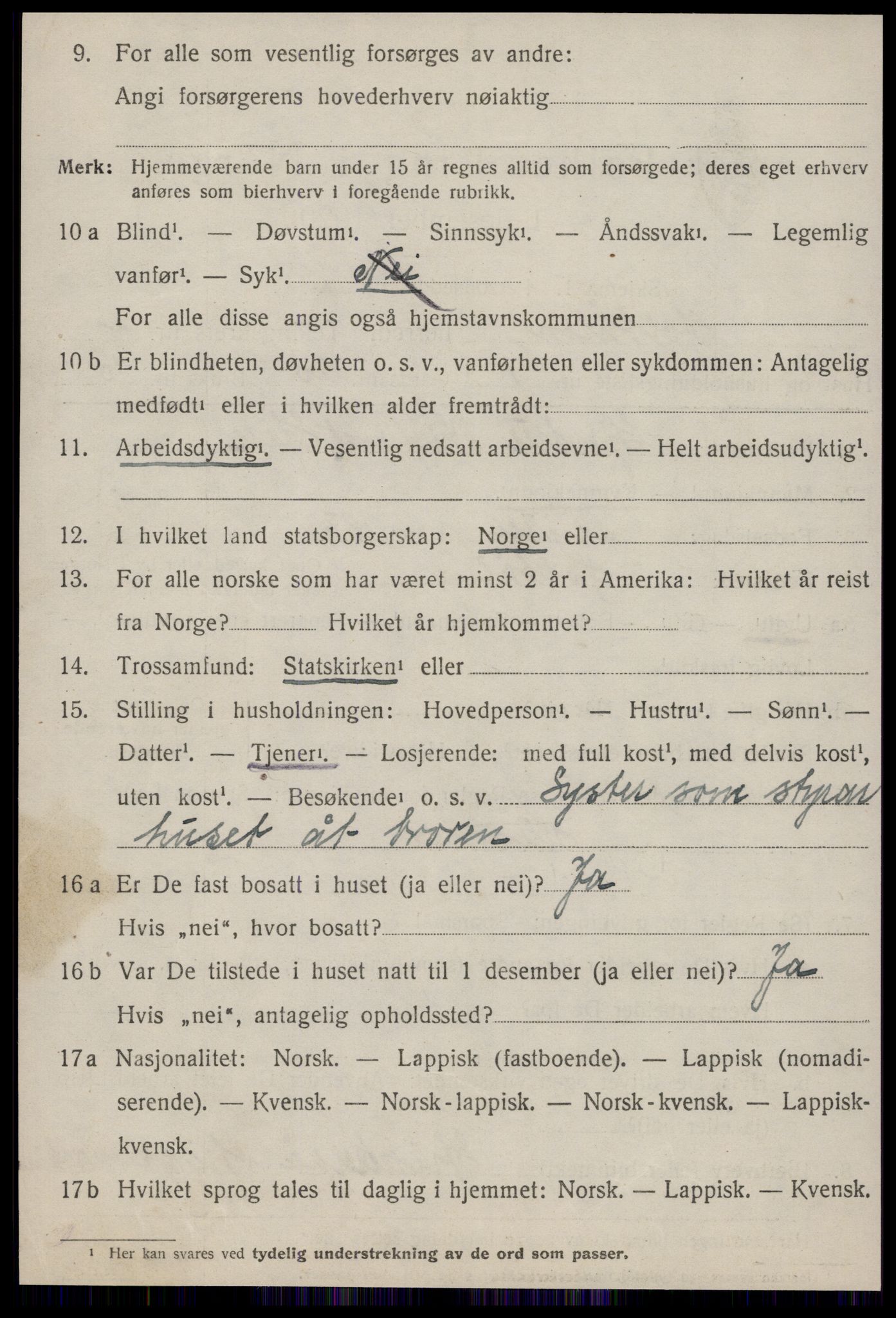 SAT, 1920 census for Haltdalen, 1920, p. 1017