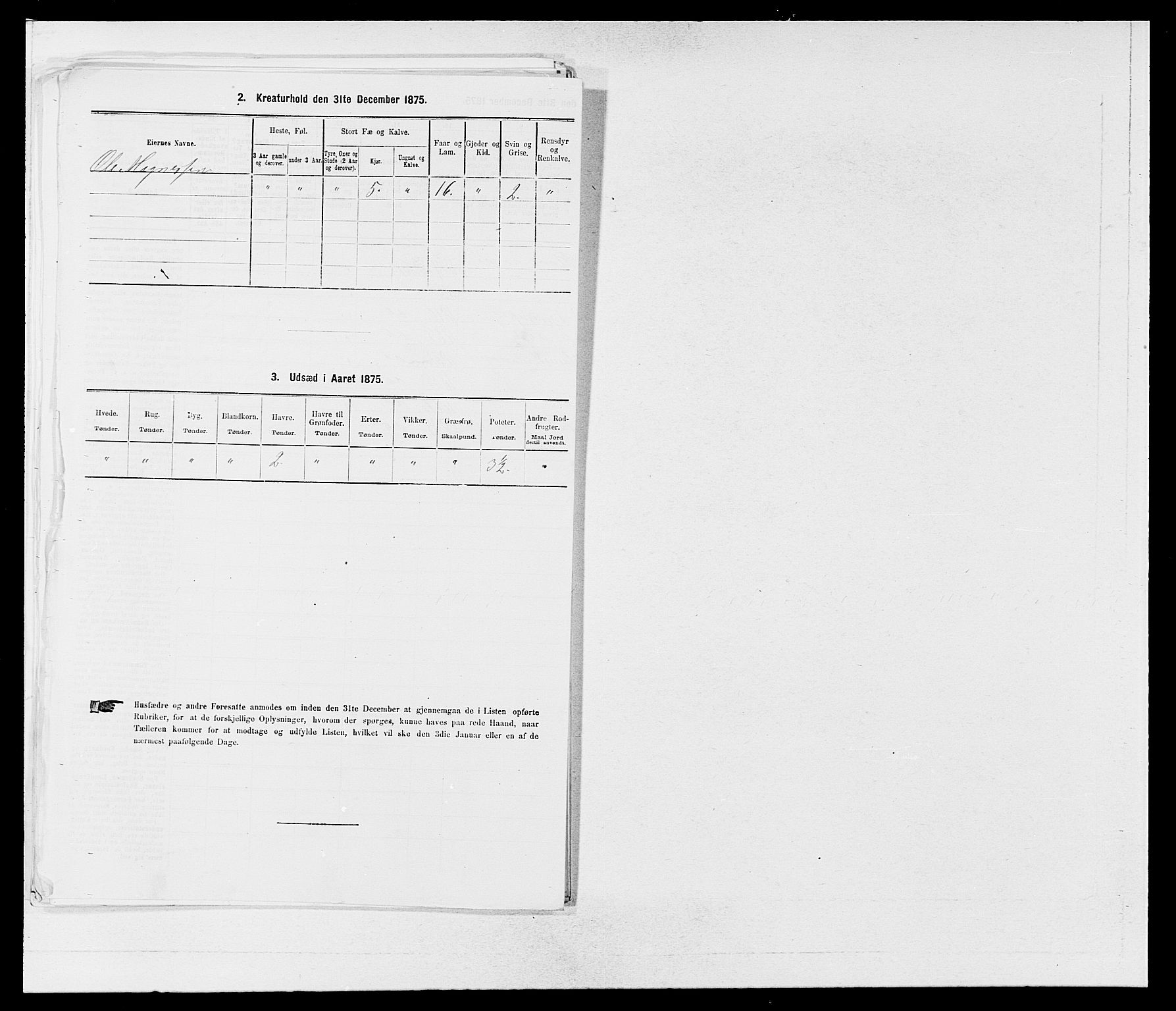 SAB, 1875 census for 1253P Hosanger, 1875, p. 499