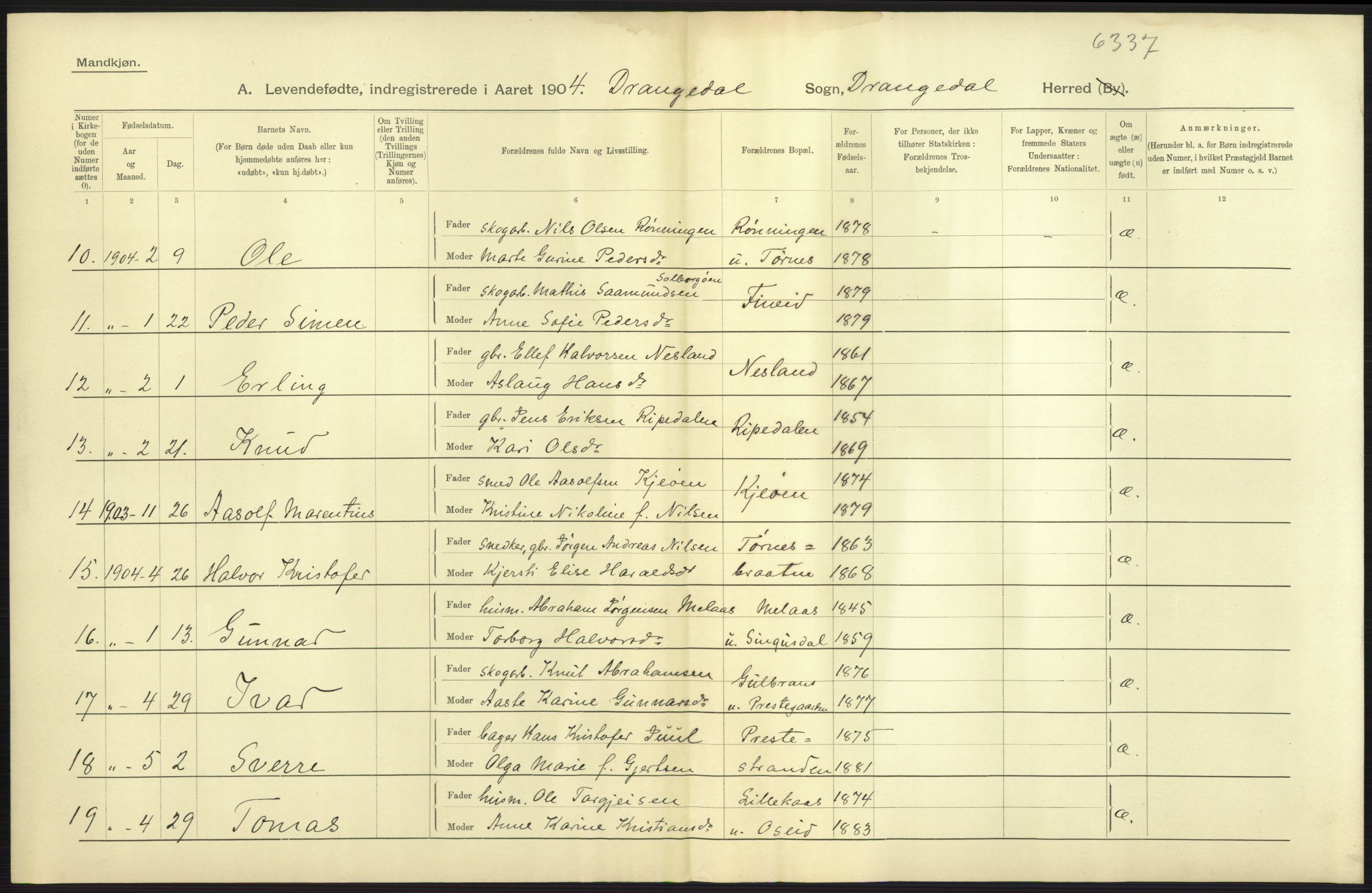 Statistisk sentralbyrå, Sosiodemografiske emner, Befolkning, AV/RA-S-2228/D/Df/Dfa/Dfab/L0009: Bratsberg amt: Fødte, gifte, døde, 1904, p. 19