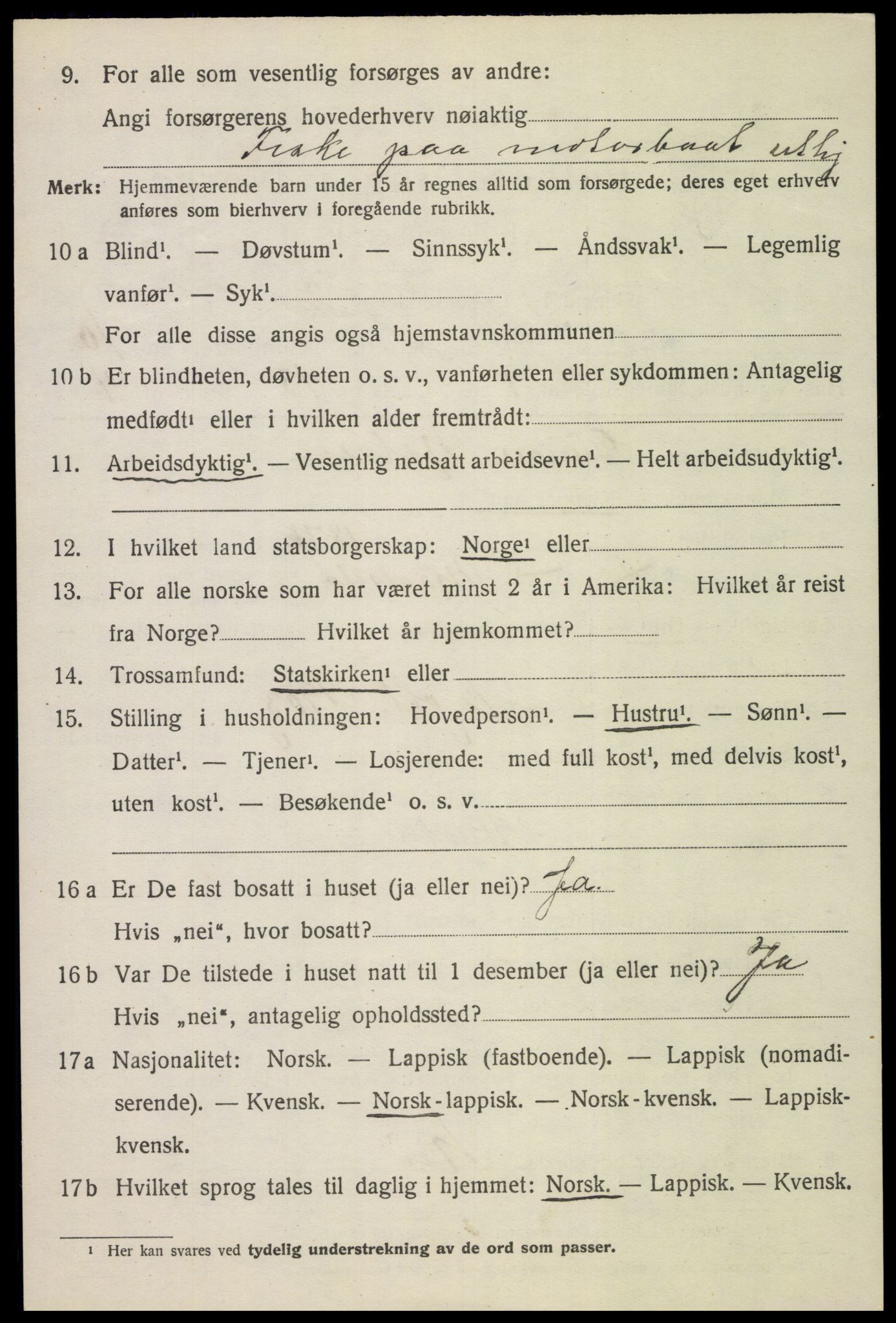 SAT, 1920 census for Bø, 1920, p. 8521