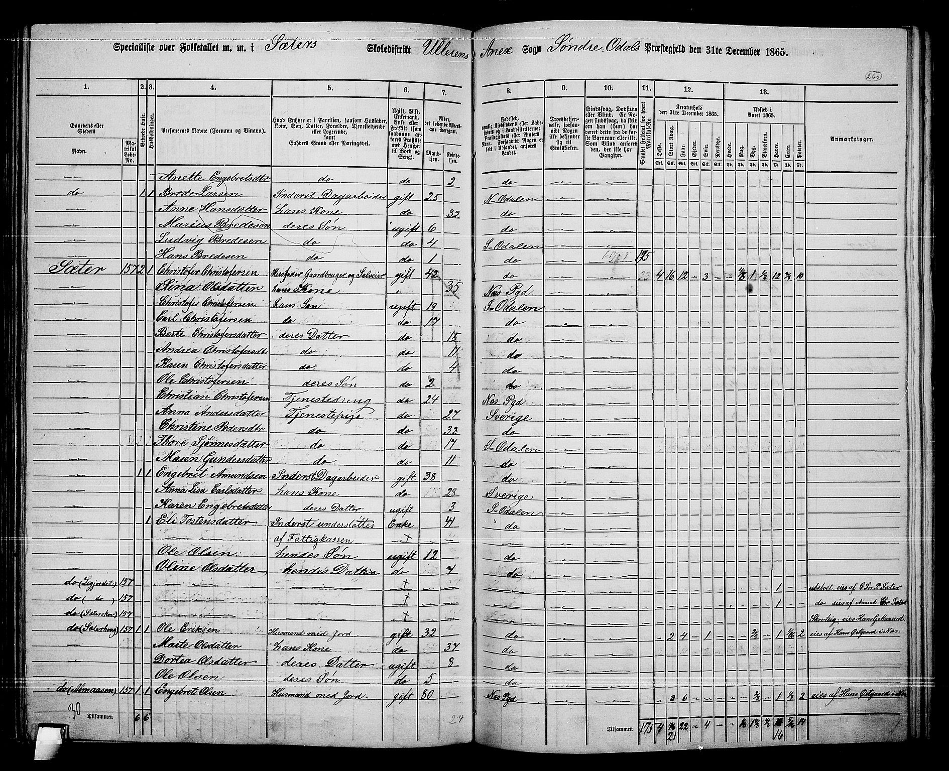 RA, 1865 census for Sør-Odal, 1865, p. 230