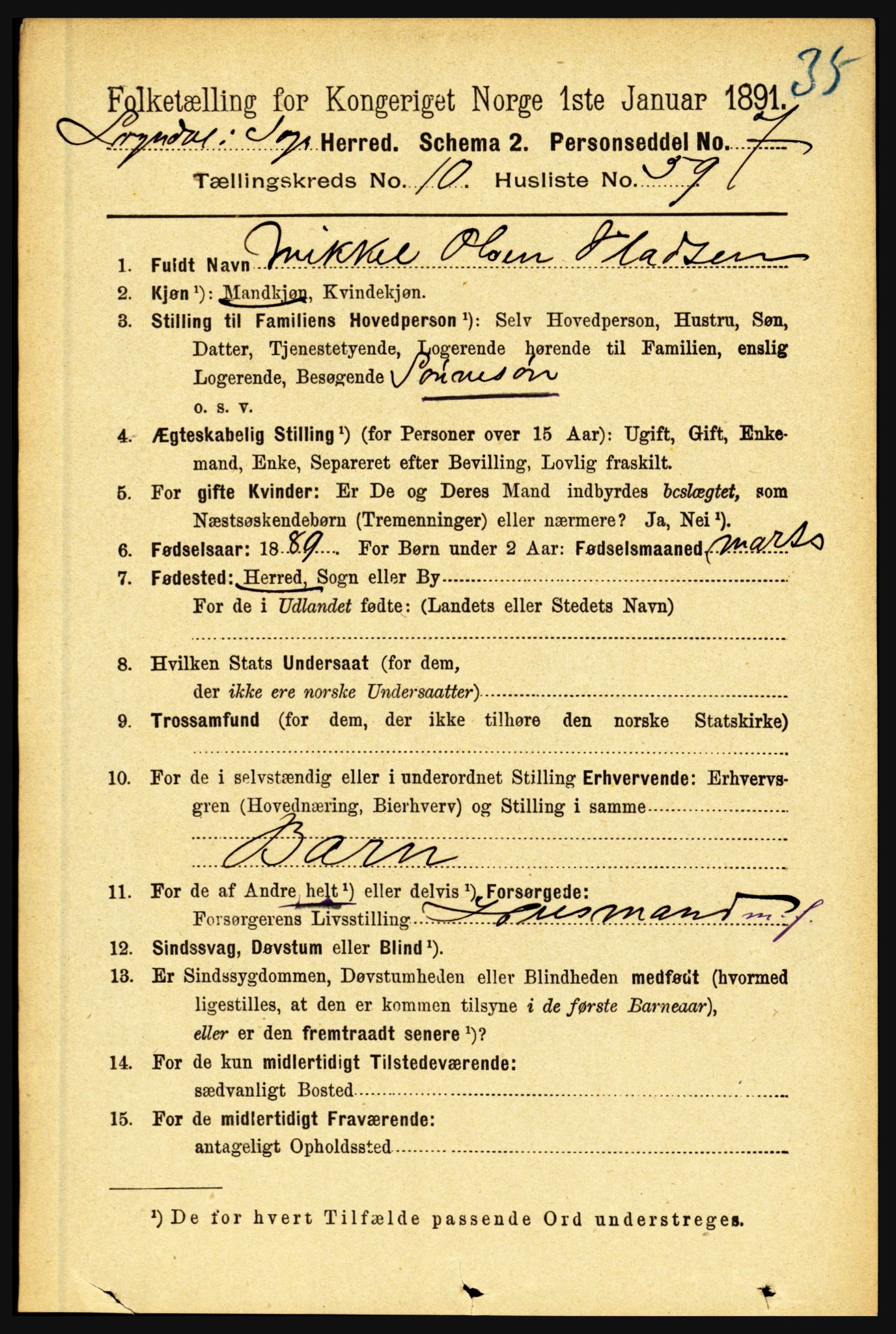 RA, 1891 census for 1420 Sogndal, 1891, p. 4318