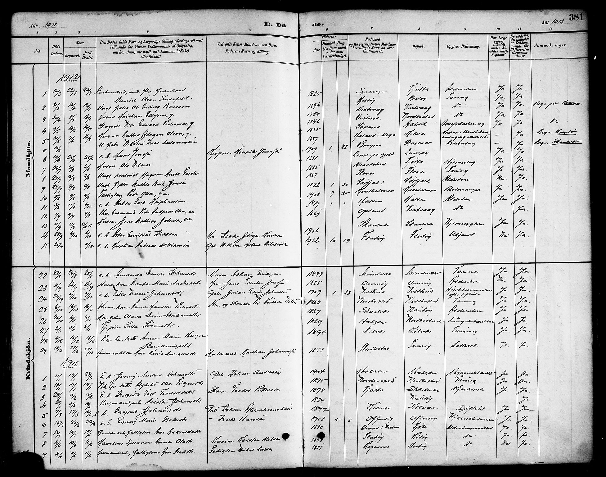 Ministerialprotokoller, klokkerbøker og fødselsregistre - Nordland, AV/SAT-A-1459/817/L0268: Parish register (copy) no. 817C03, 1884-1920, p. 381