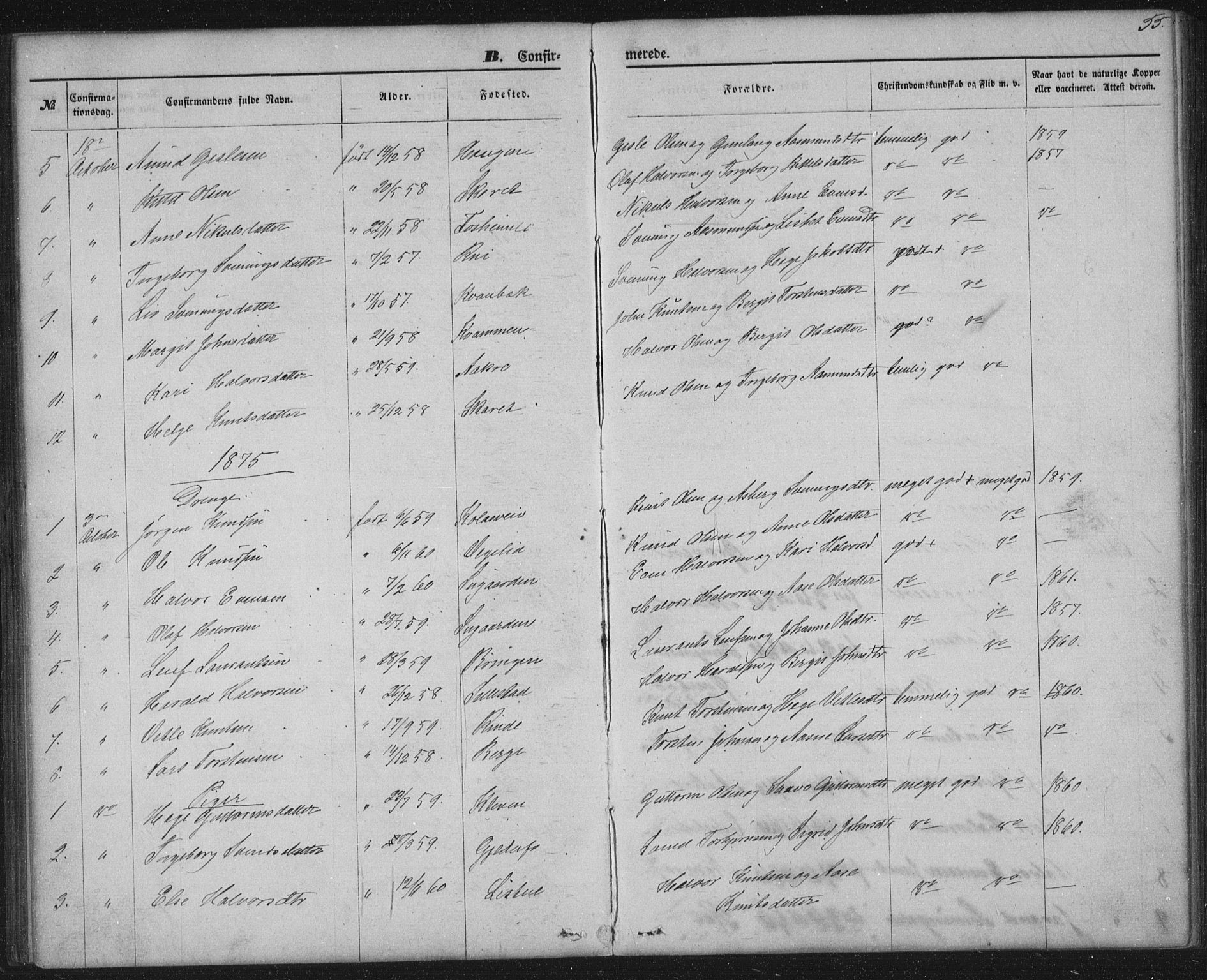 Seljord kirkebøker, SAKO/A-20/G/Gc/L0002: Parish register (copy) no. III 2, 1872-1886, p. 55