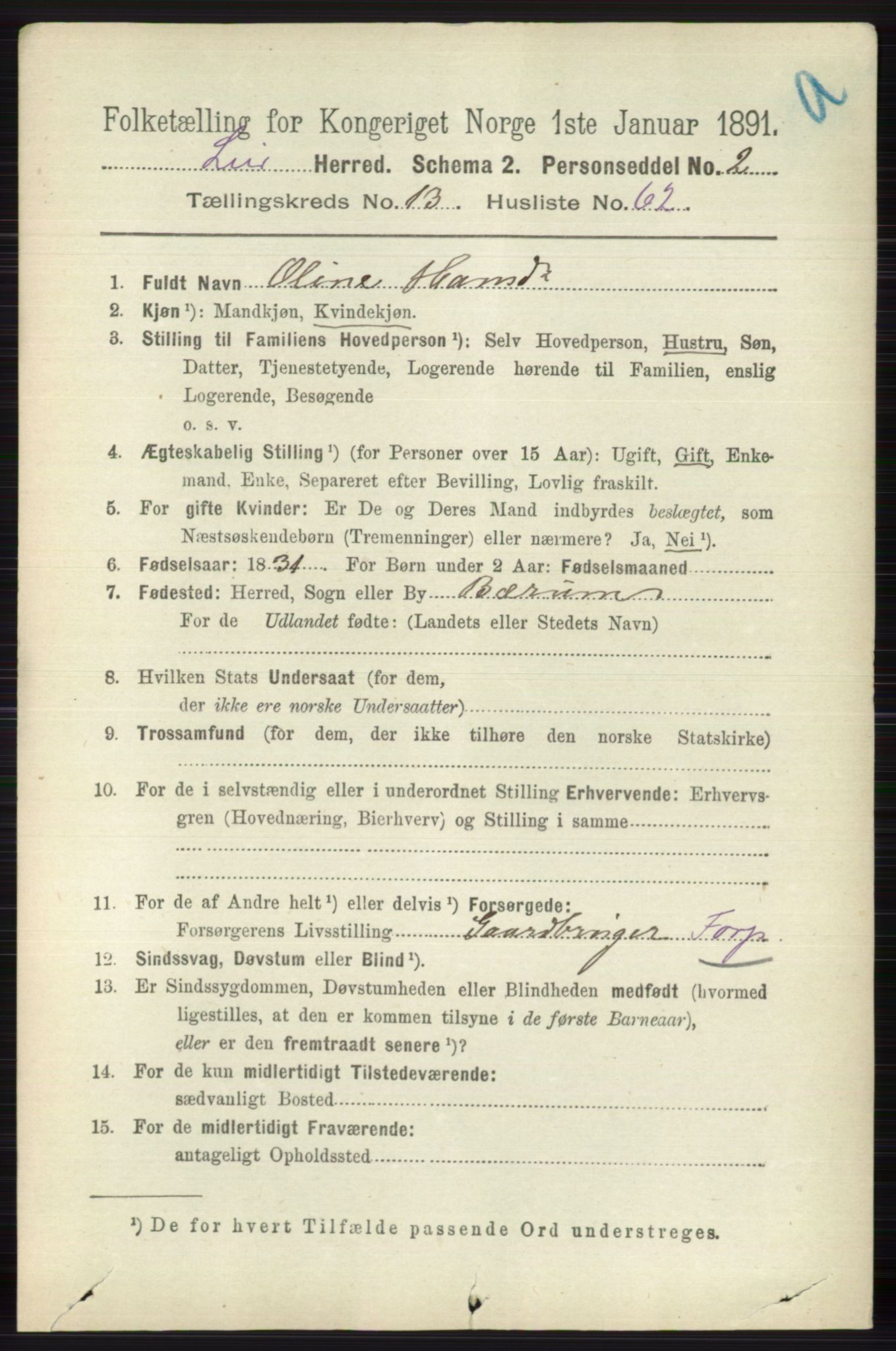 RA, 1891 census for 0626 Lier, 1891, p. 8207