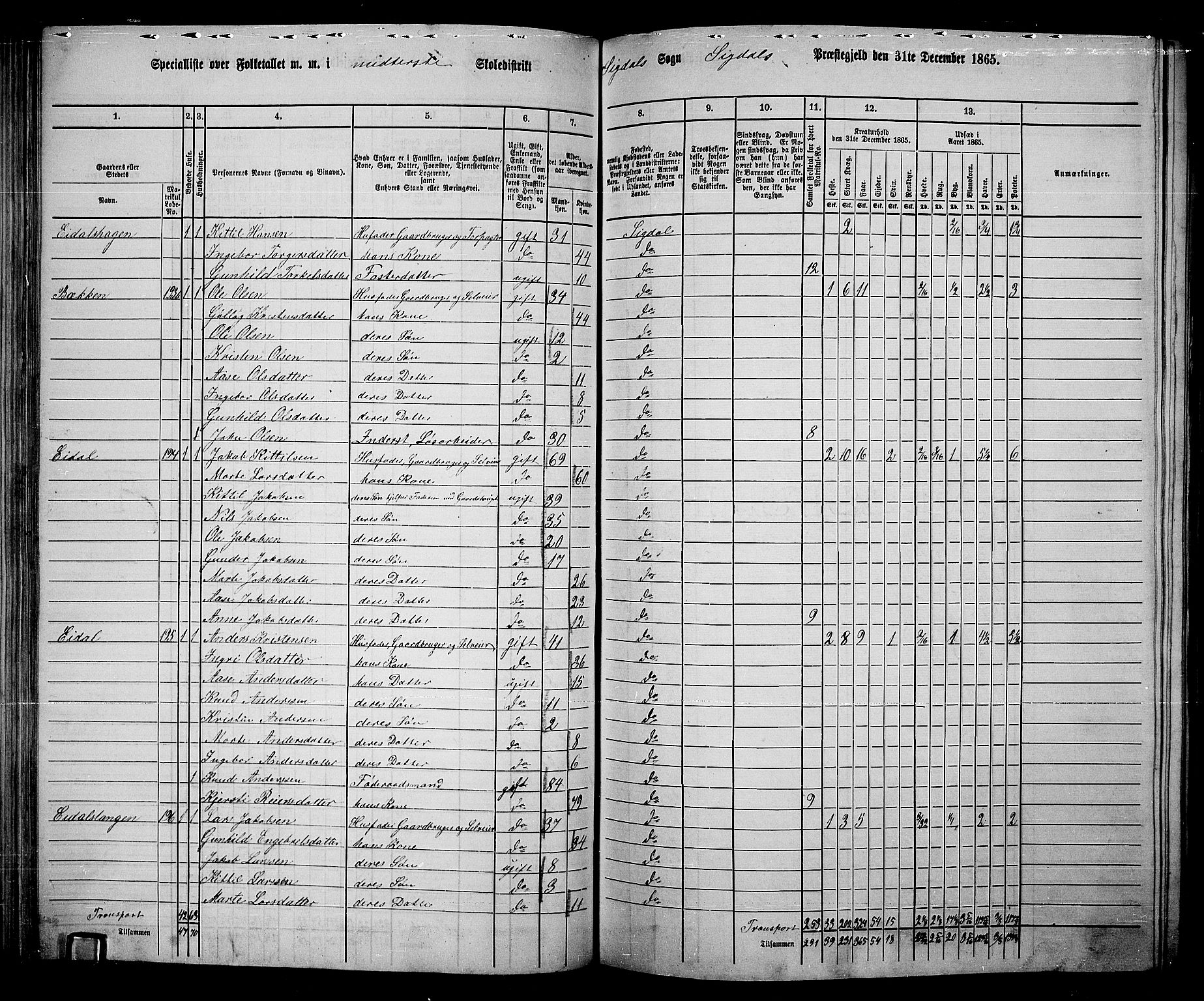 RA, 1865 census for Sigdal, 1865, p. 113