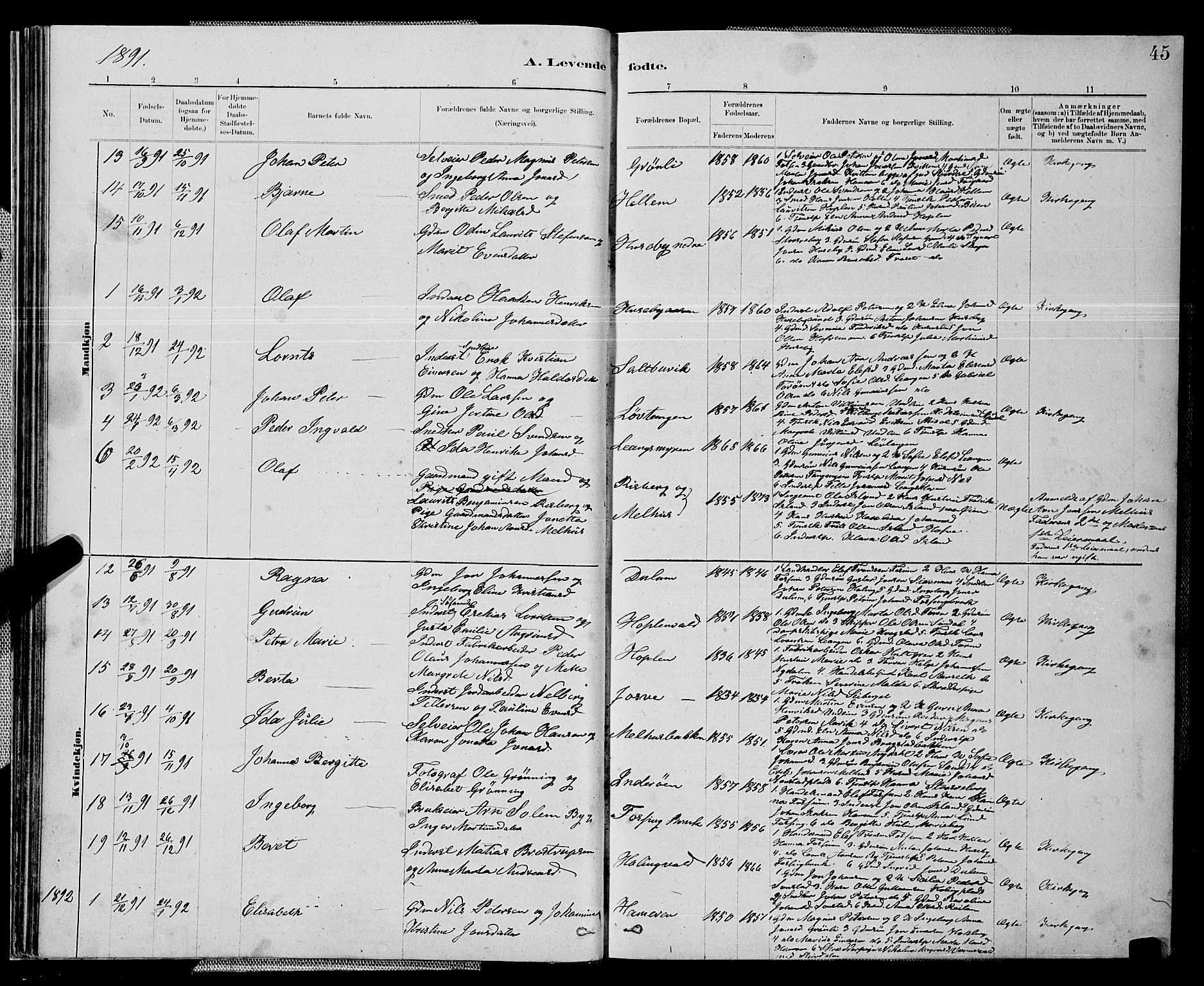 Ministerialprotokoller, klokkerbøker og fødselsregistre - Nord-Trøndelag, SAT/A-1458/714/L0134: Parish register (copy) no. 714C03, 1878-1898, p. 45