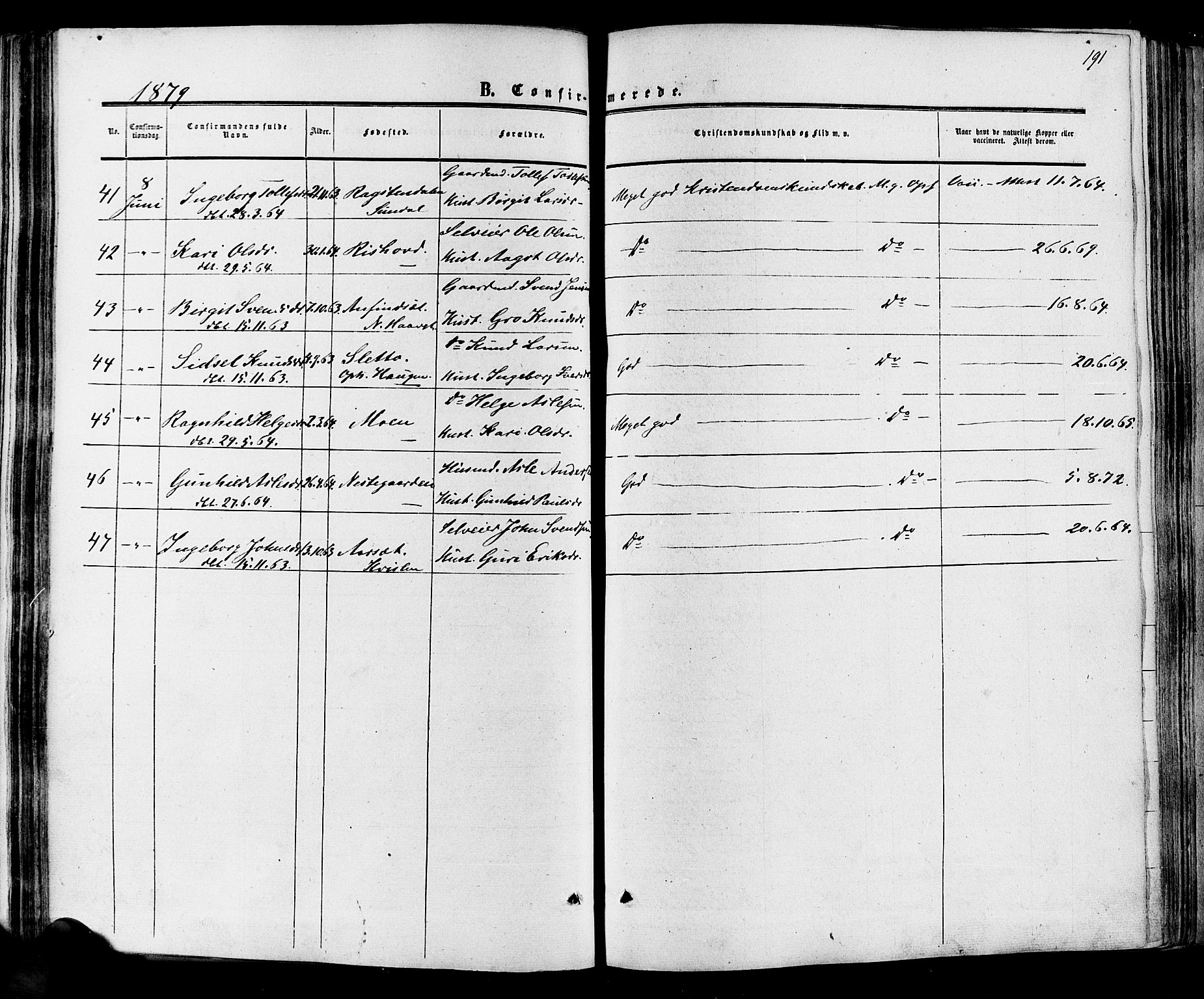 Hol kirkebøker, SAKO/A-227/F/Fa/L0002: Parish register (official) no. I 2, 1870-1886, p. 191