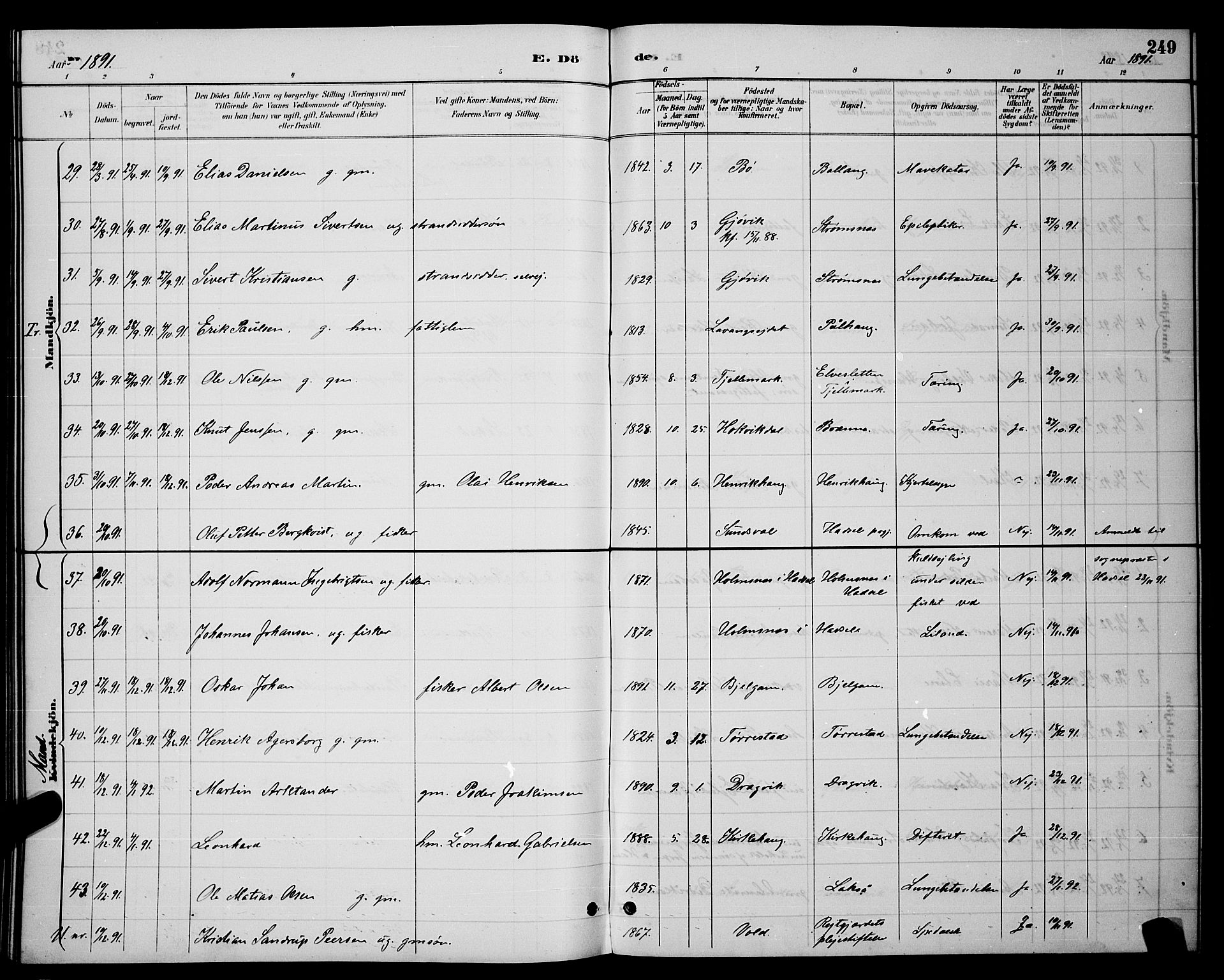 Ministerialprotokoller, klokkerbøker og fødselsregistre - Nordland, AV/SAT-A-1459/863/L0914: Parish register (copy) no. 863C04, 1886-1897, p. 249