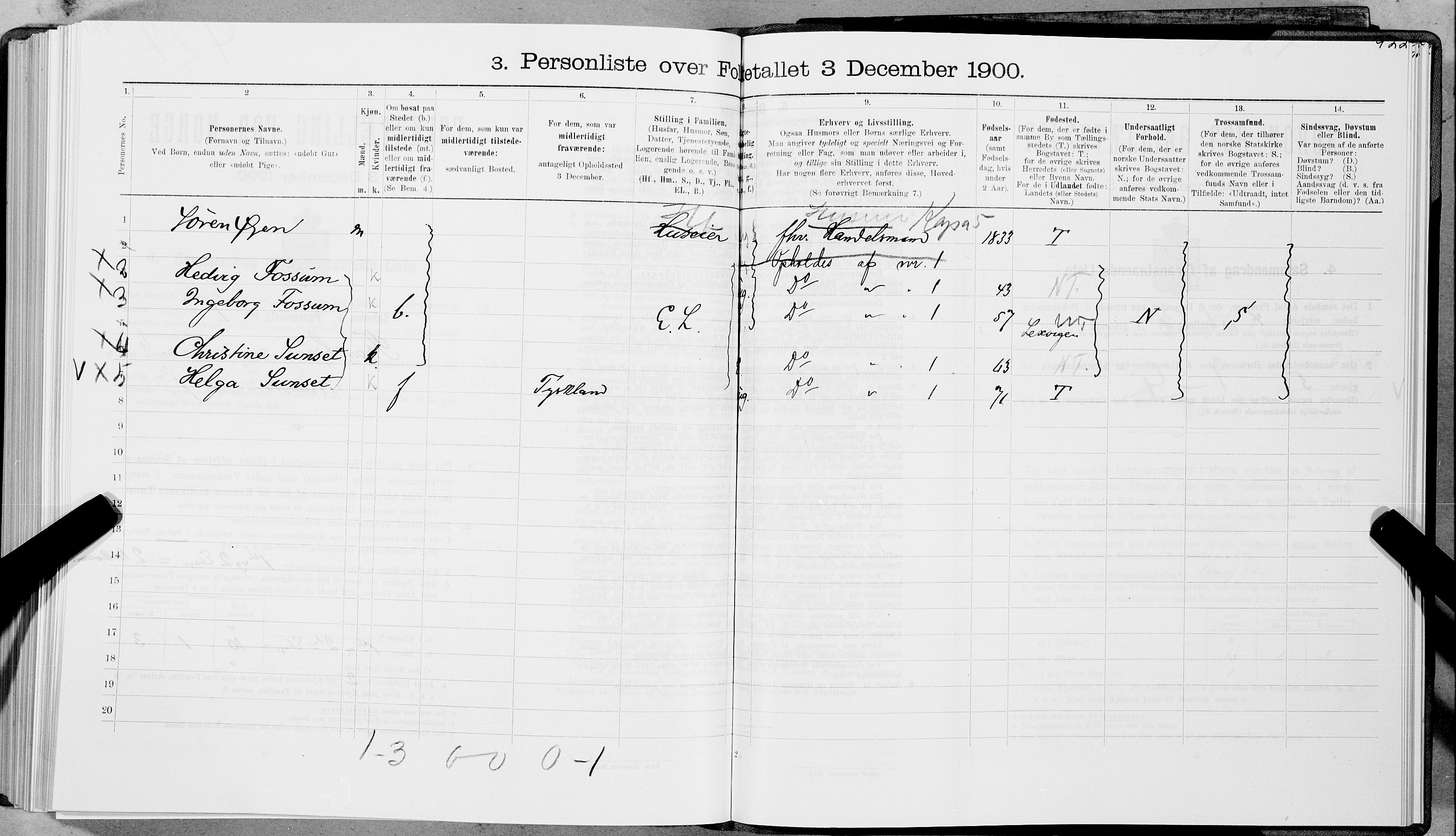 SAT, 1900 census for Trondheim, 1900, p. 1002