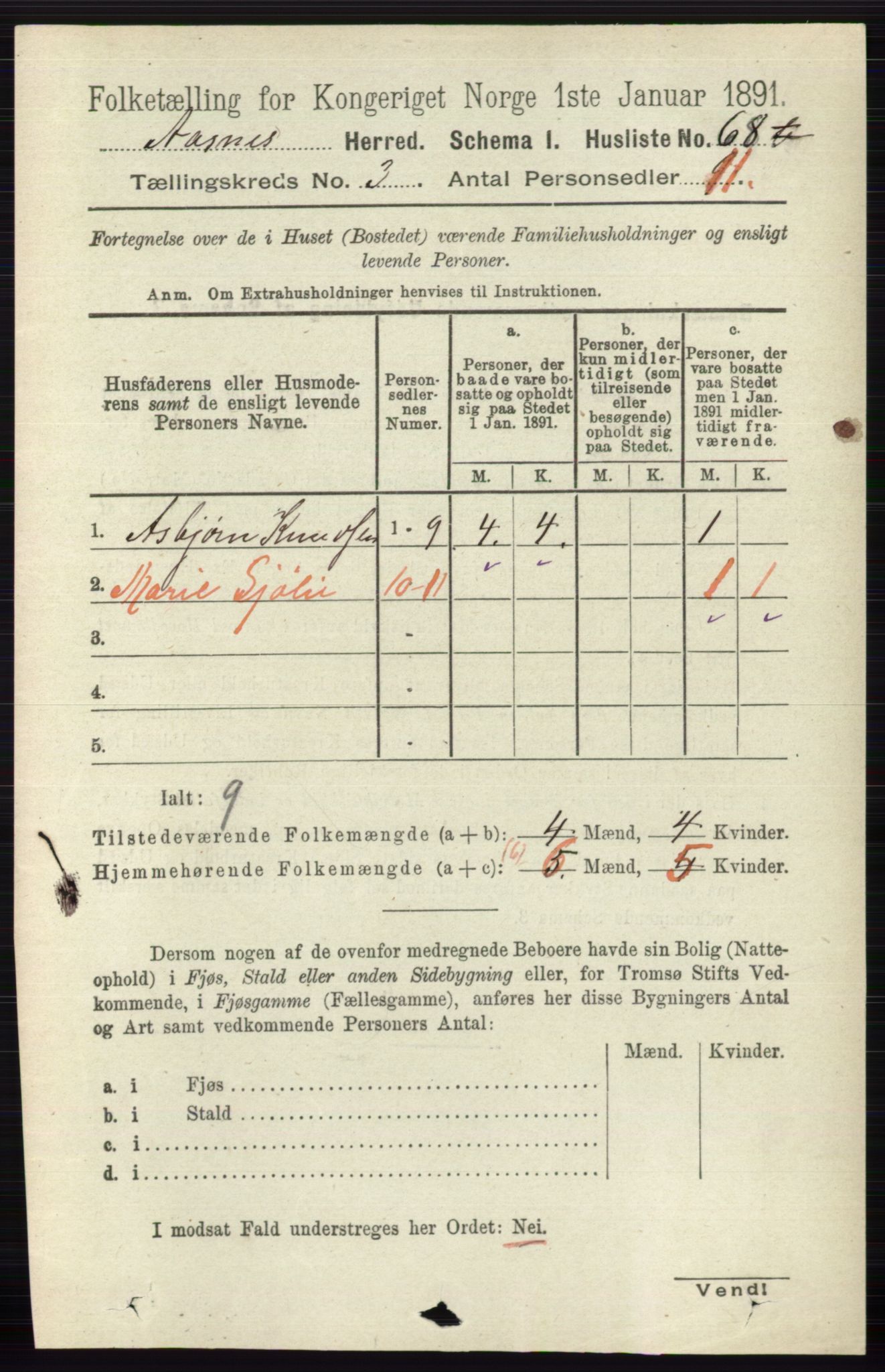 RA, 1891 census for 0425 Åsnes, 1891, p. 1020