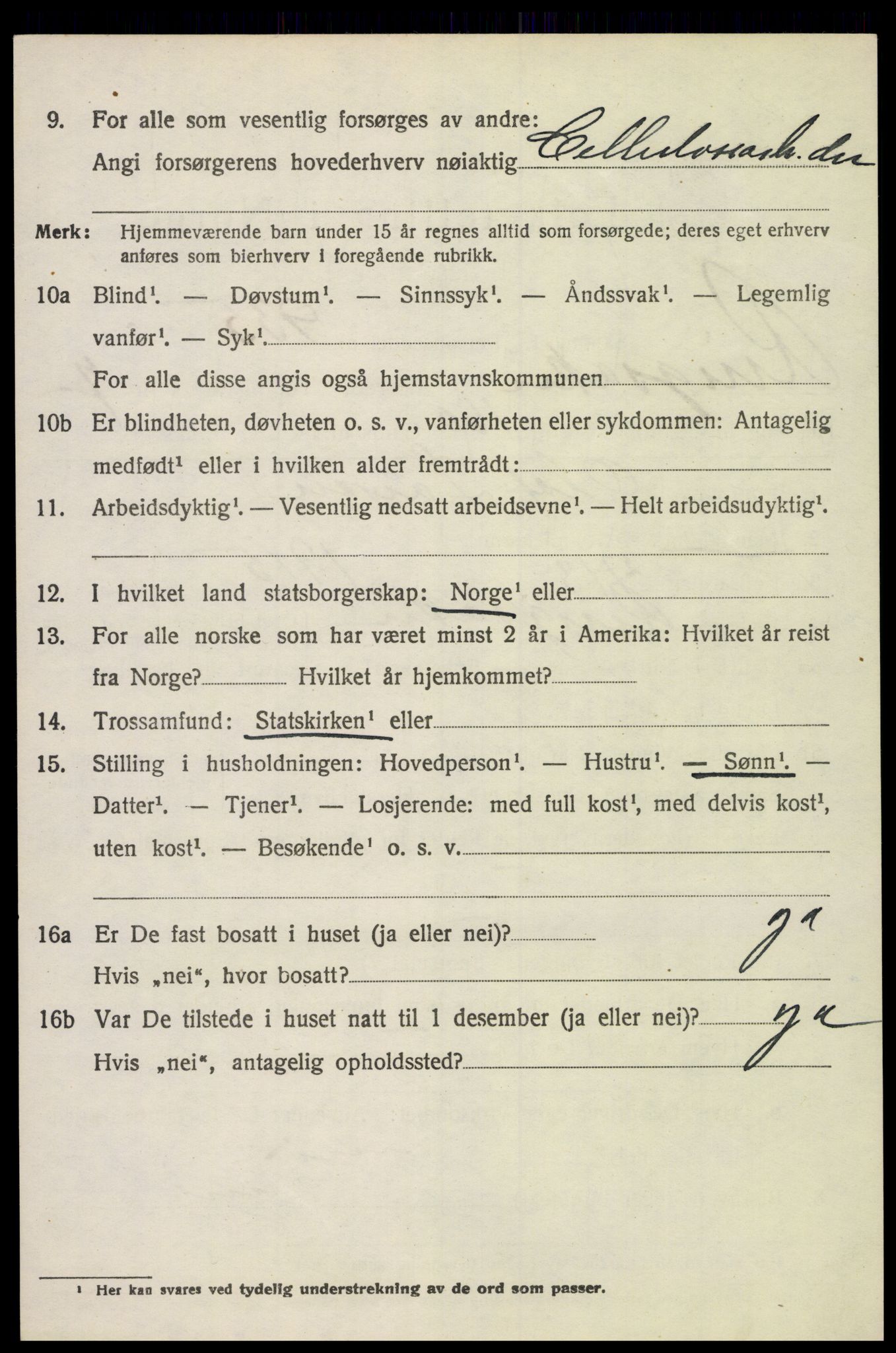 SAH, 1920 census for Ringsaker, 1920, p. 16953