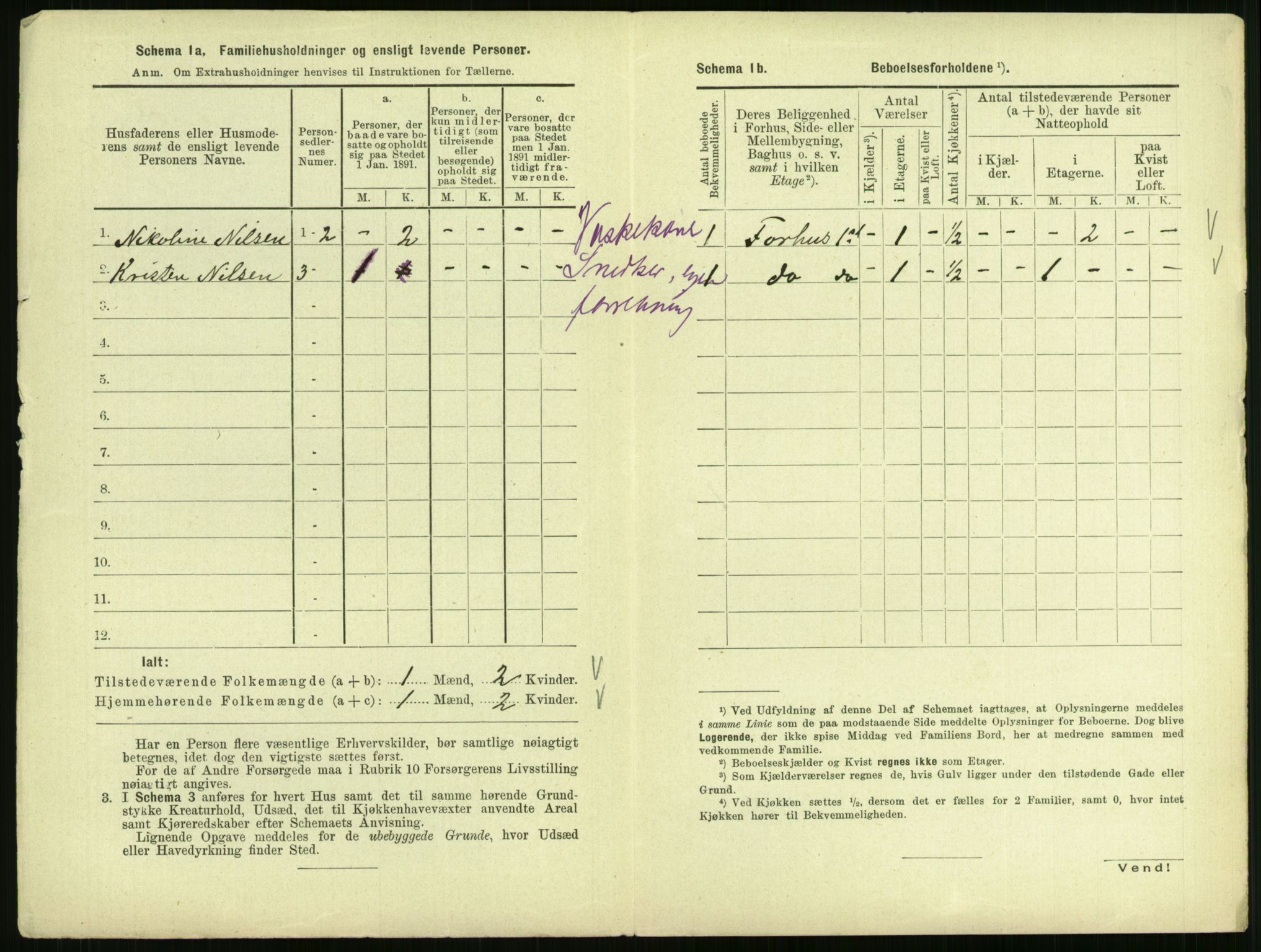 RA, 1891 census for 0805 Porsgrunn, 1891, p. 30