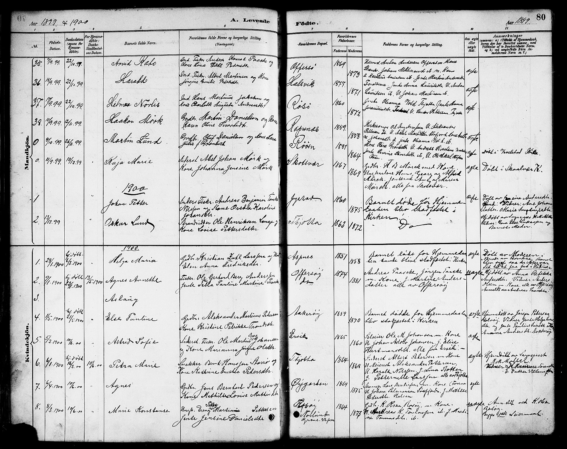 Ministerialprotokoller, klokkerbøker og fødselsregistre - Nordland, AV/SAT-A-1459/817/L0268: Parish register (copy) no. 817C03, 1884-1920, p. 80