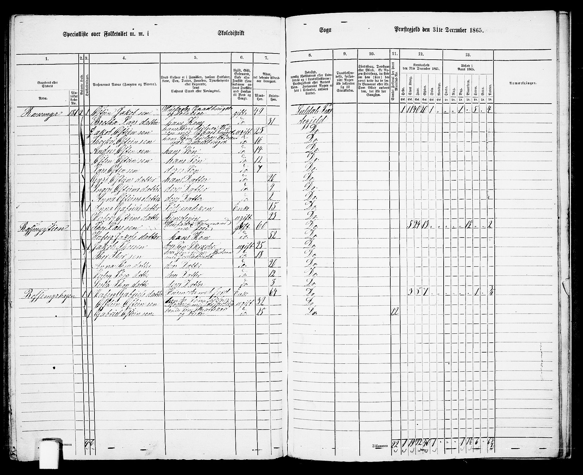 RA, 1865 census for Suldal, 1865, p. 113