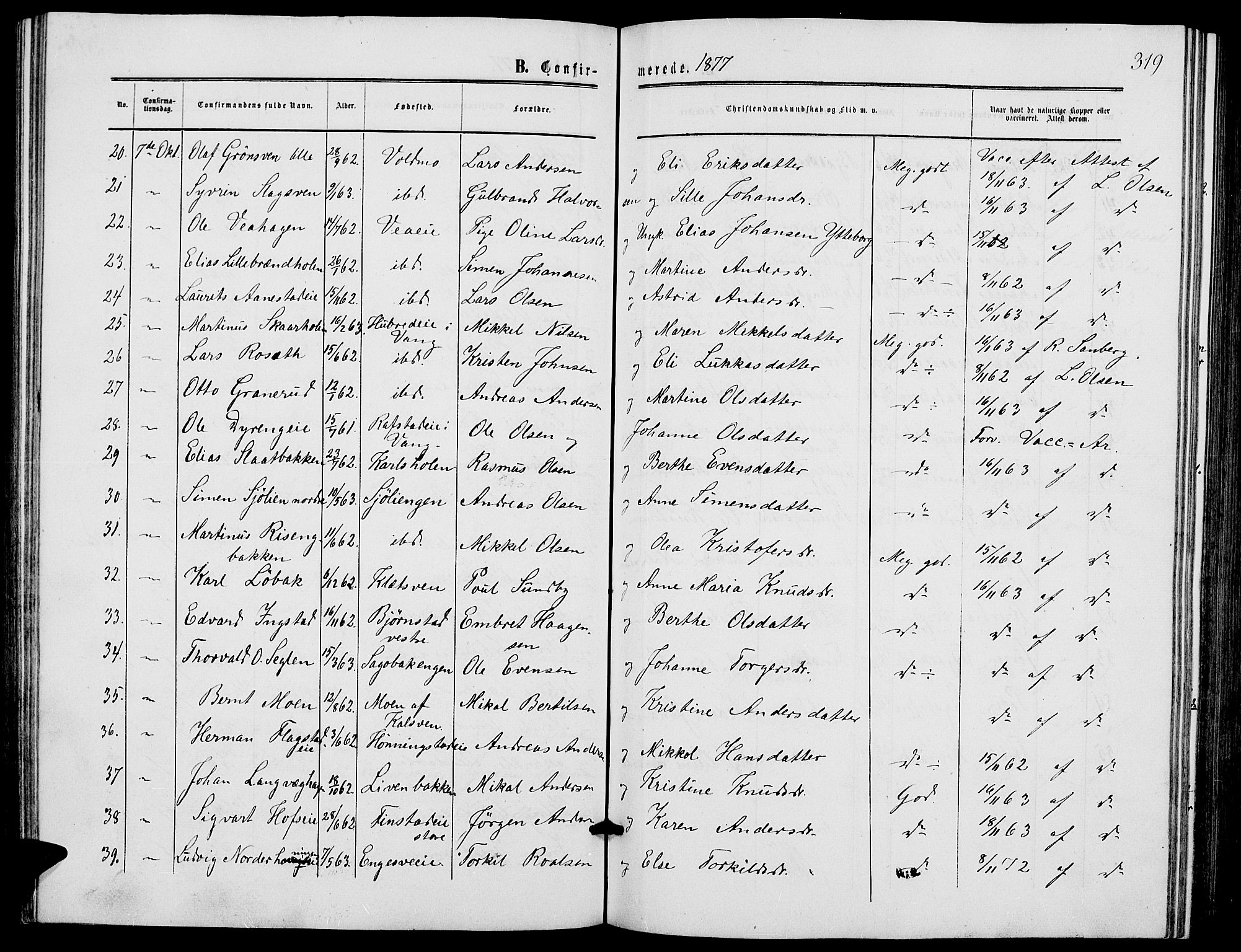 Løten prestekontor, SAH/PREST-022/L/La/L0004: Parish register (copy) no. 4, 1863-1877, p. 319