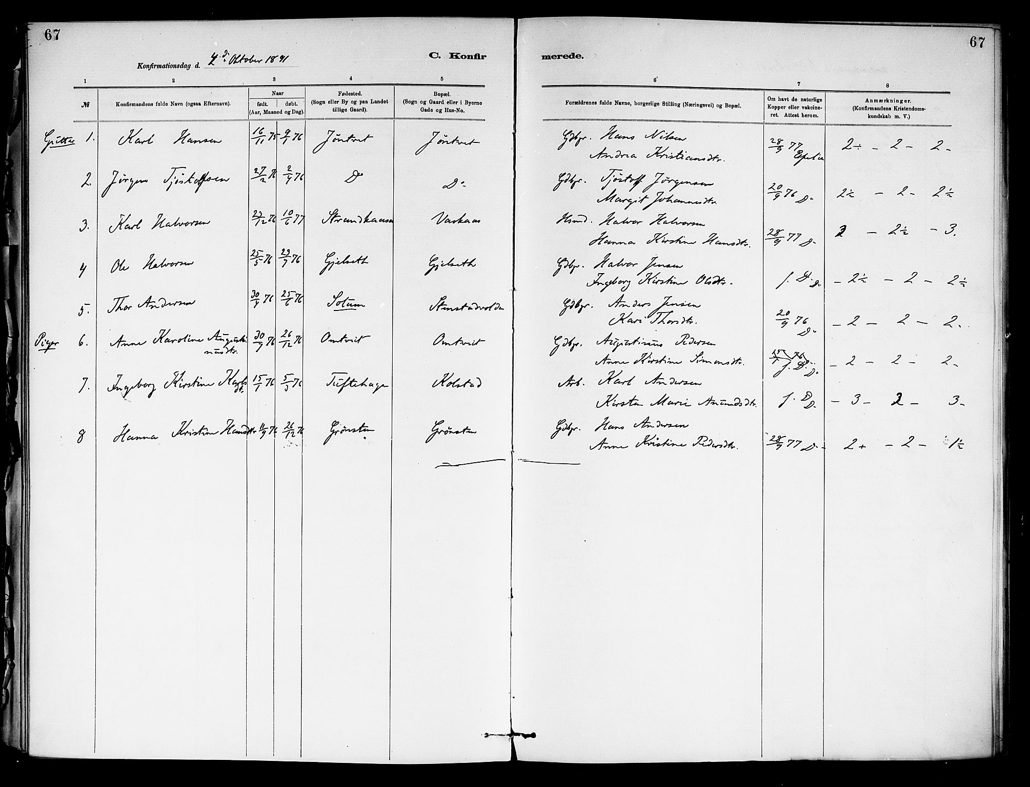 Holla kirkebøker, SAKO/A-272/F/Fa/L0009: Parish register (official) no. 9, 1881-1897, p. 67