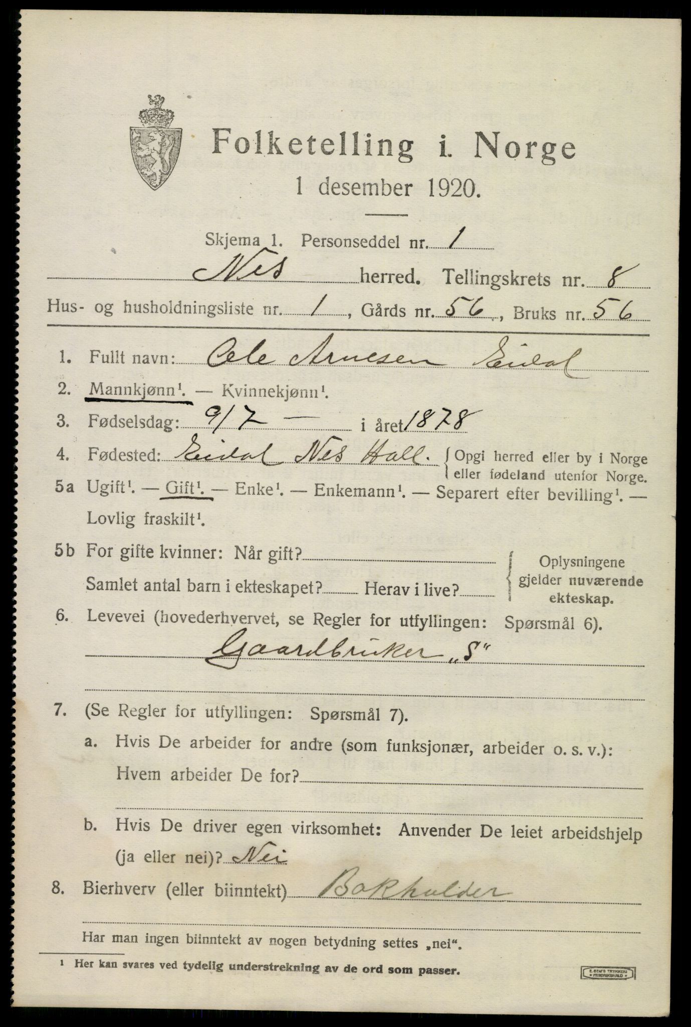 SAKO, 1920 census for Nes (Buskerud), 1920, p. 5064