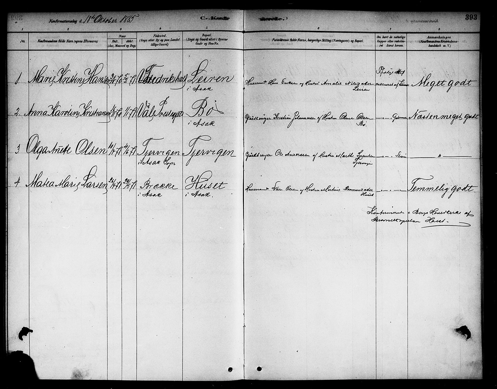 Berg prestekontor Kirkebøker, AV/SAO-A-10902/F/Fb/L0001: Parish register (official) no. II 1, 1878-1887, p. 393