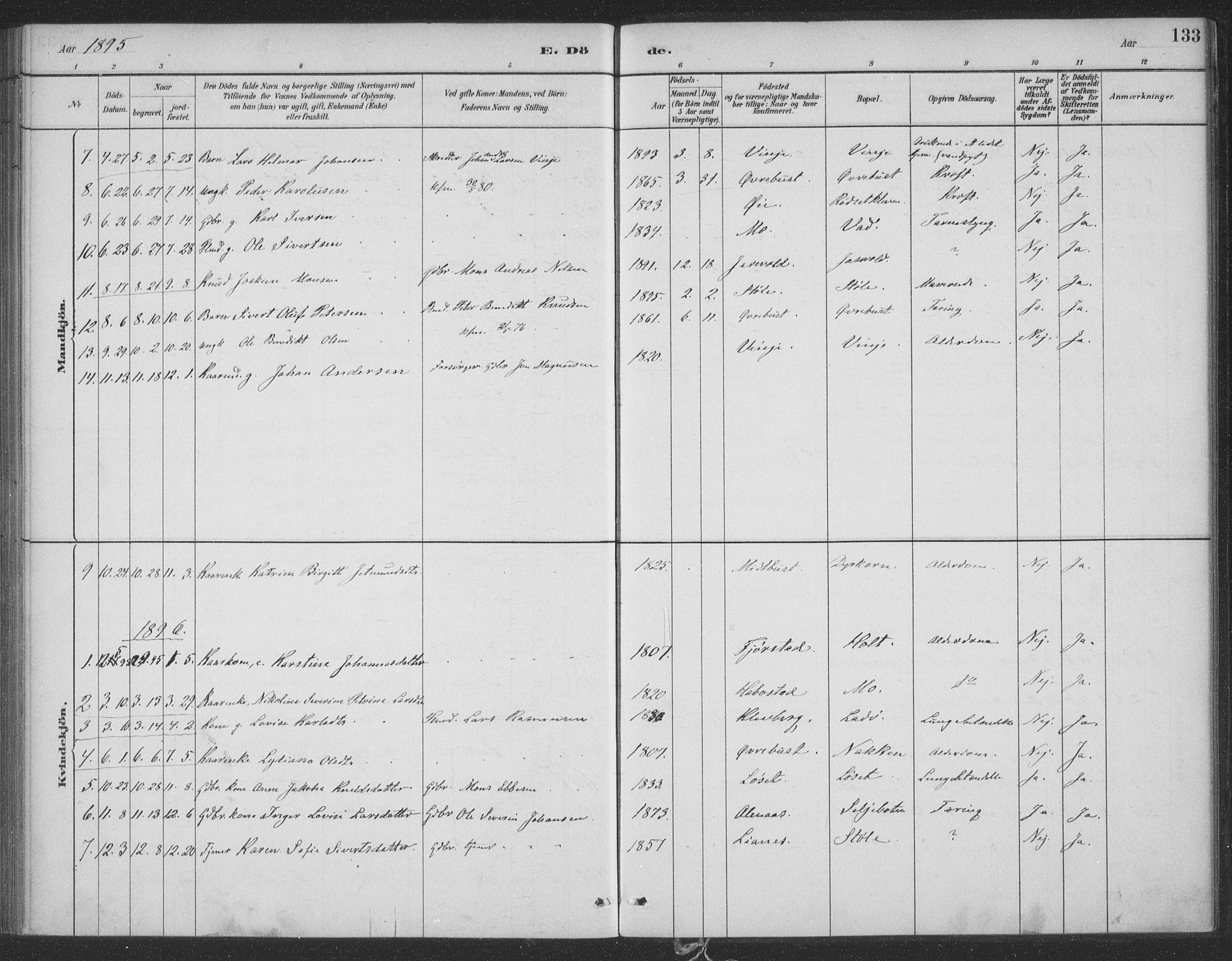 Ministerialprotokoller, klokkerbøker og fødselsregistre - Møre og Romsdal, SAT/A-1454/521/L0299: Parish register (official) no. 521A01, 1882-1907, p. 133