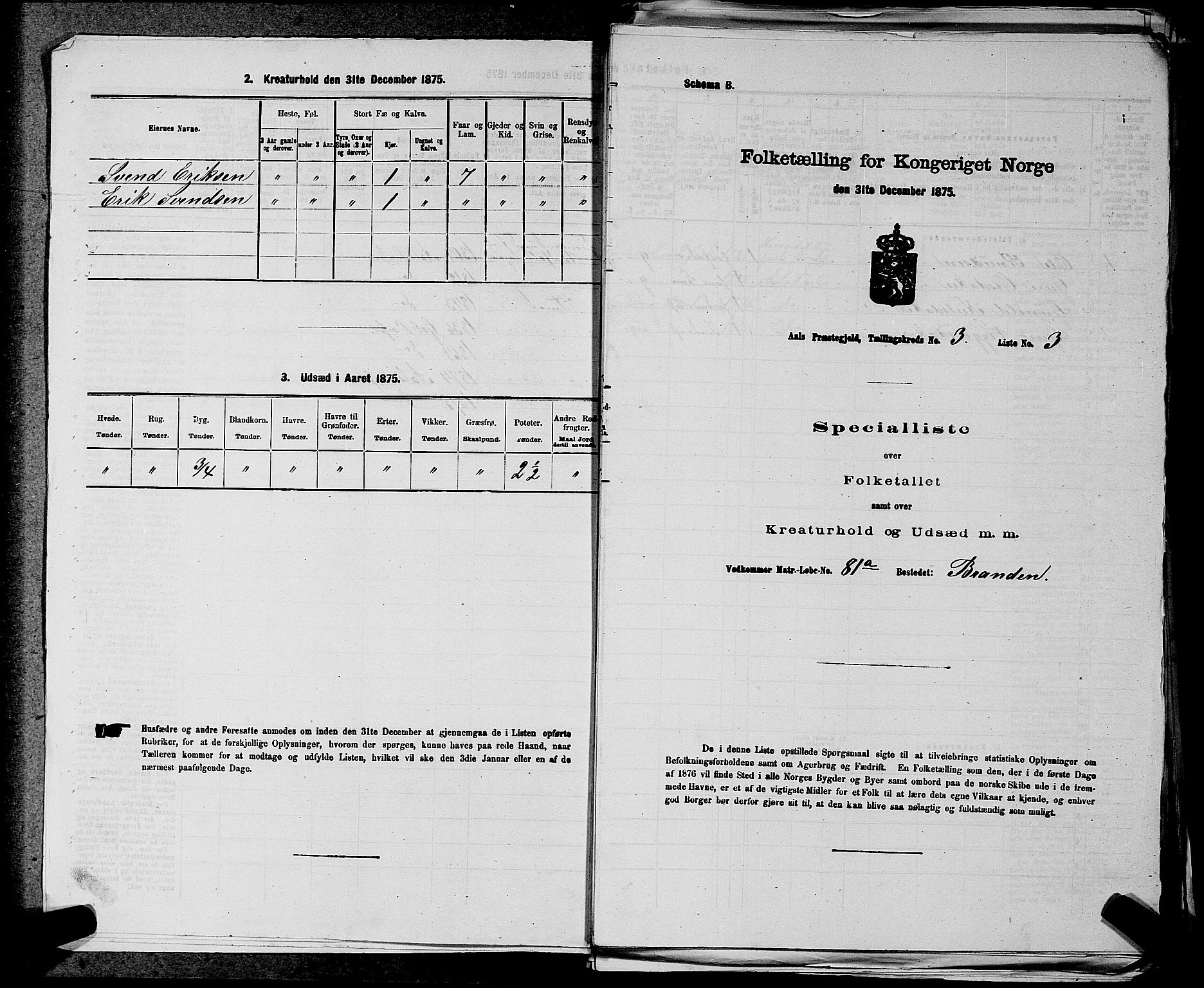 SAKO, 1875 census for 0619P Ål, 1875, p. 320