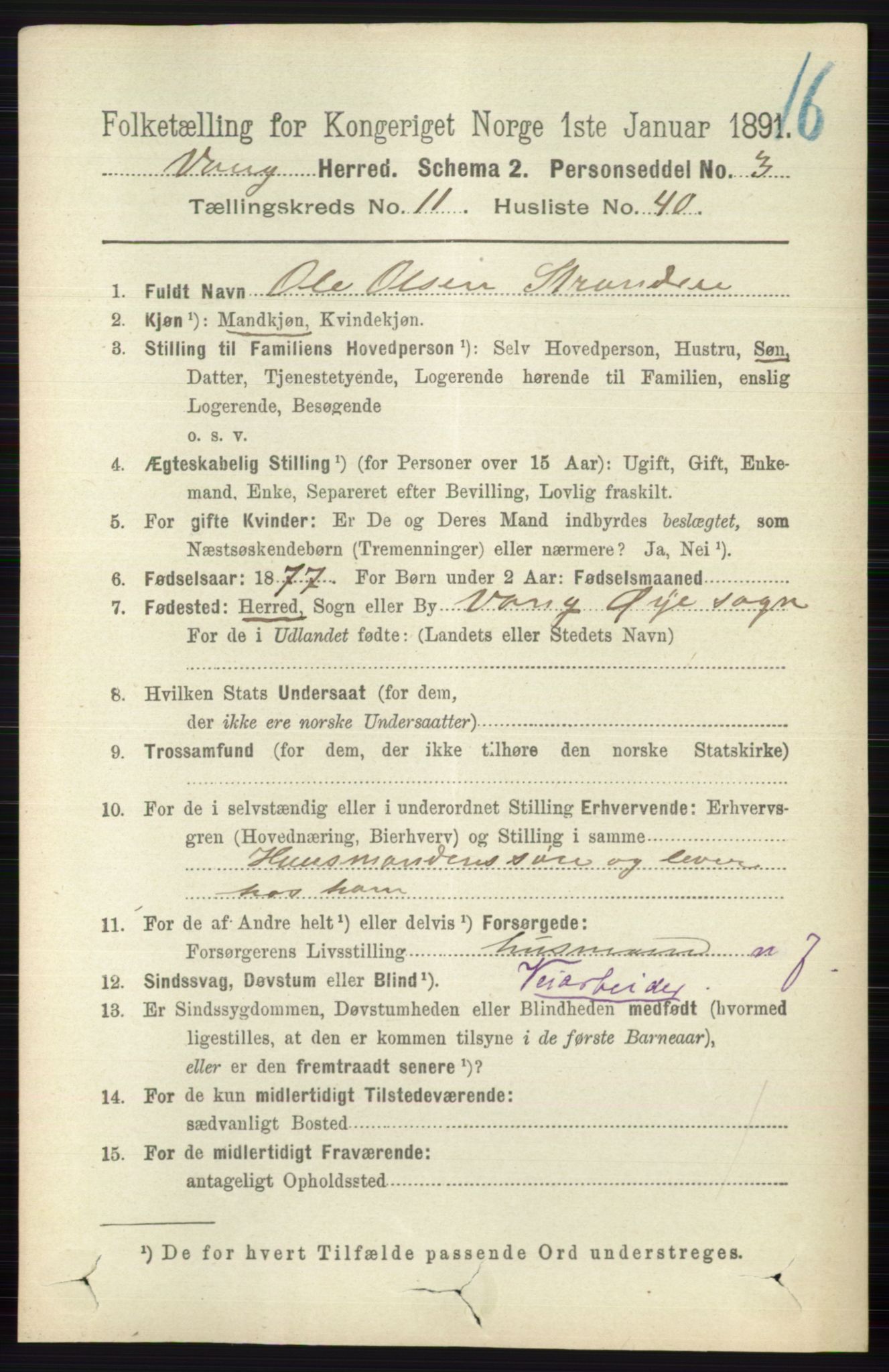 RA, 1891 census for 0545 Vang, 1891, p. 2608