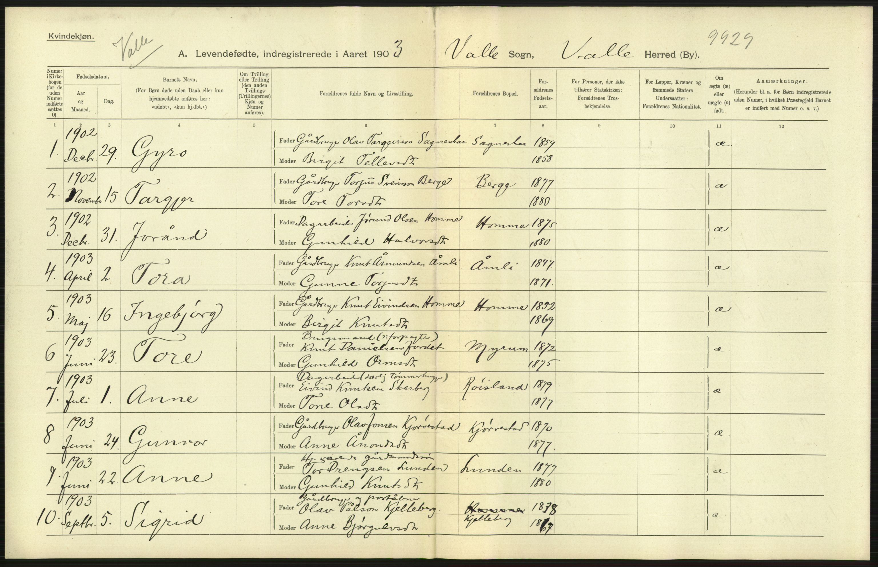 Statistisk sentralbyrå, Sosiodemografiske emner, Befolkning, AV/RA-S-2228/D/Df/Dfa/Dfaa/L0010: Nedenes amt: Fødte, gifte, døde, 1903, p. 77